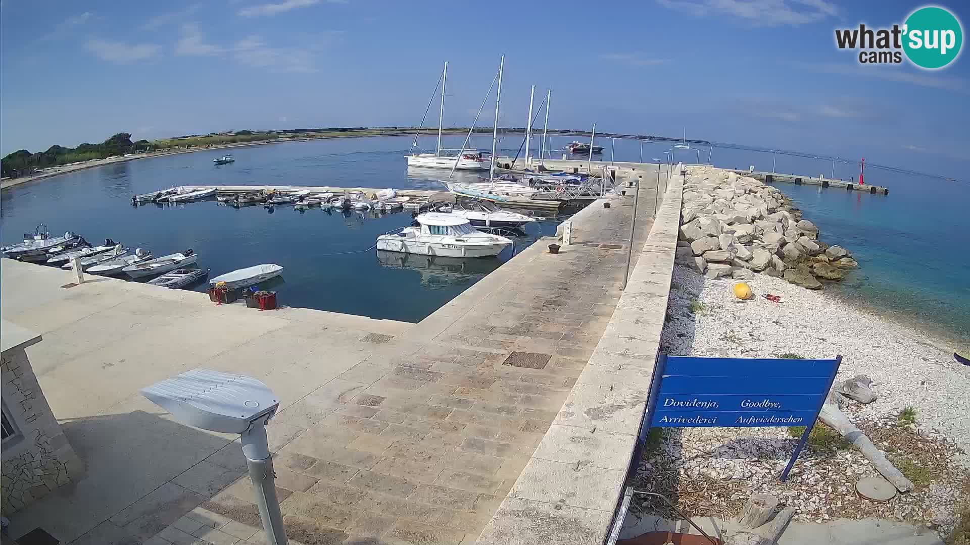 Webcam Isola di Unije – Esplora la bellezza della gemma nascosta della Croazia