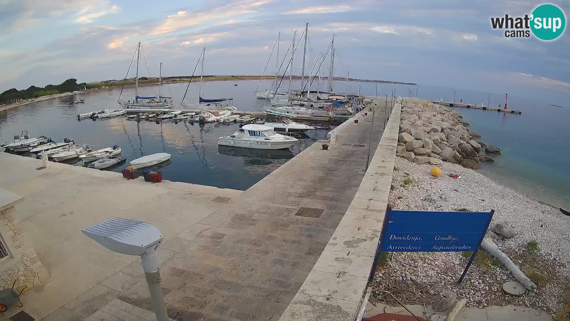 Cámara web de la isla de Unije: explore la belleza de la joya escondida de Croacia