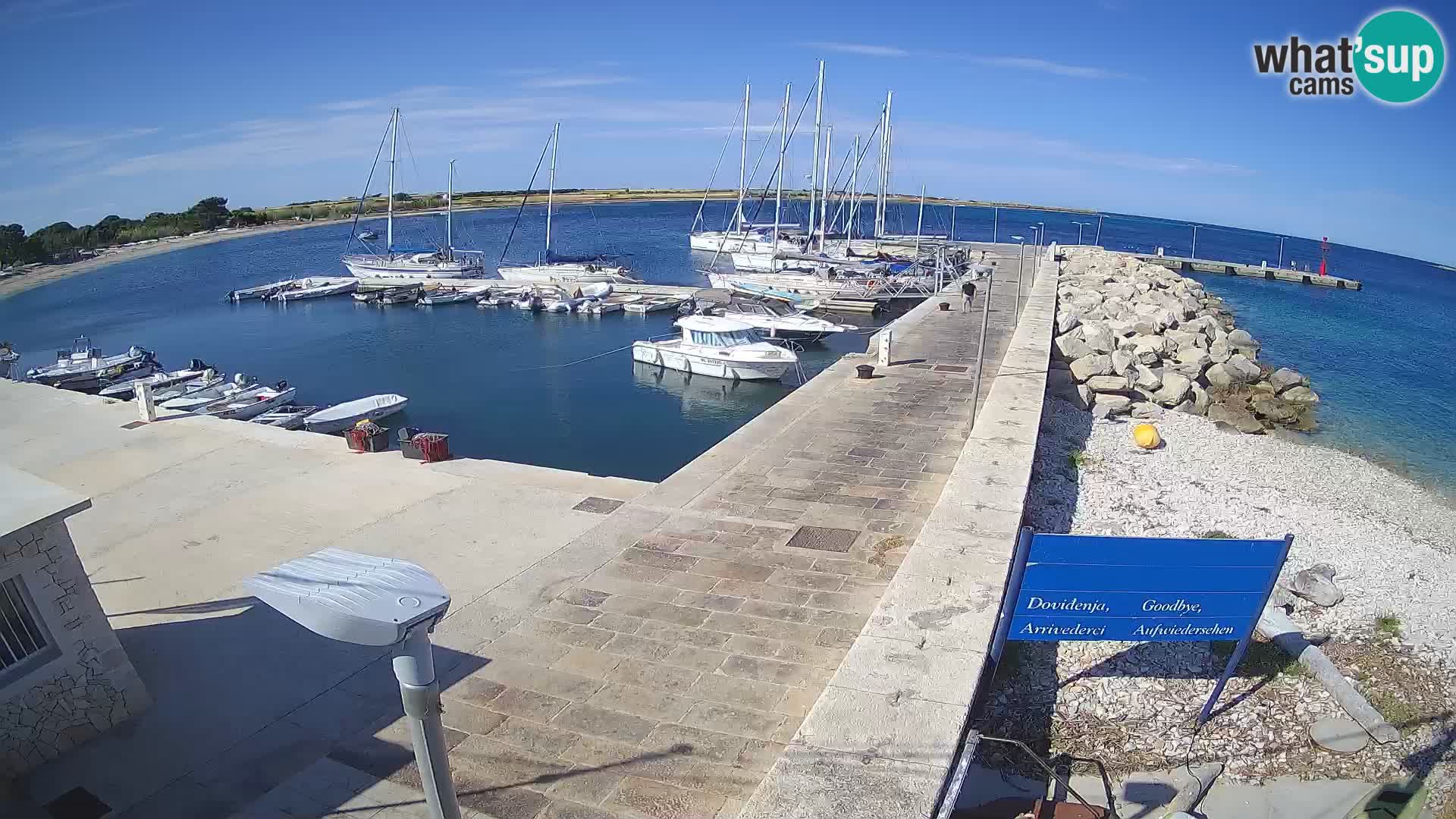 Insel Unije Webcam – Entdecken Sie die Schönheit von Kroatiens verstecktem Juwel