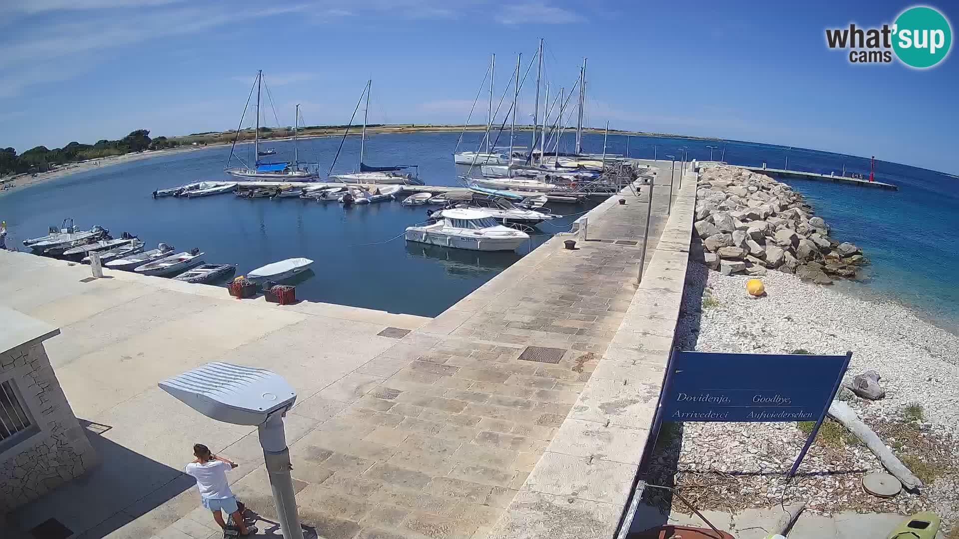 Cámara web de la isla de Unije: explore la belleza de la joya escondida de Croacia
