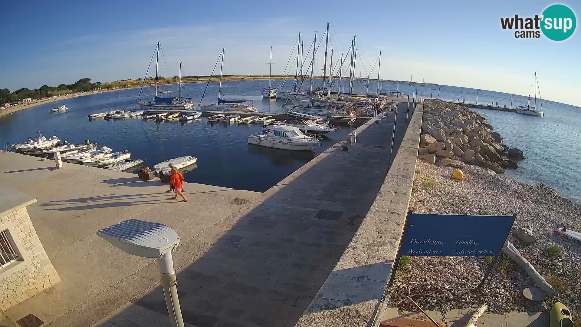 Cámara web de la isla de Unije: explore la belleza de la joya escondida de Croacia