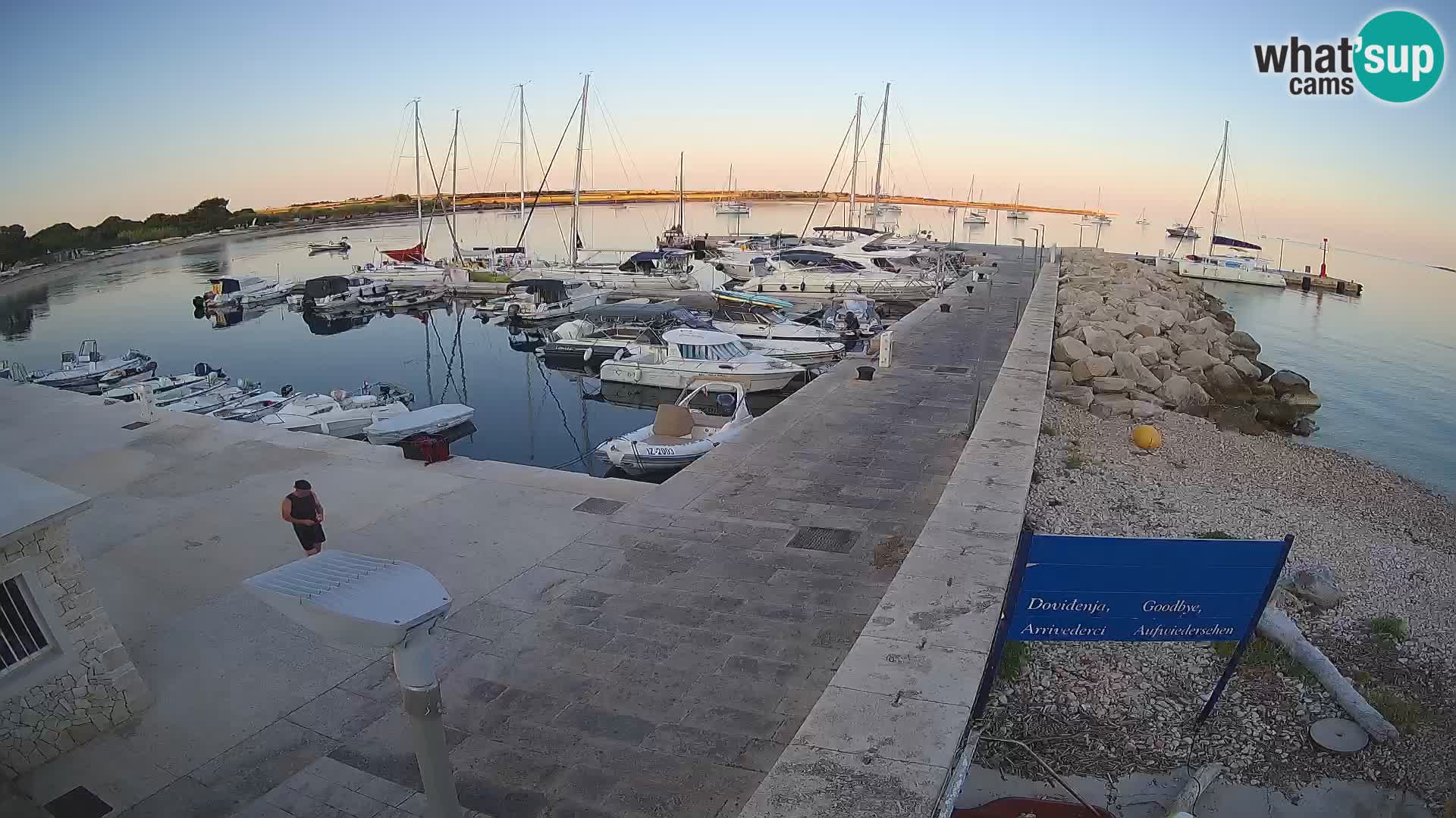Cámara web de la isla de Unije: explore la belleza de la joya escondida de Croacia