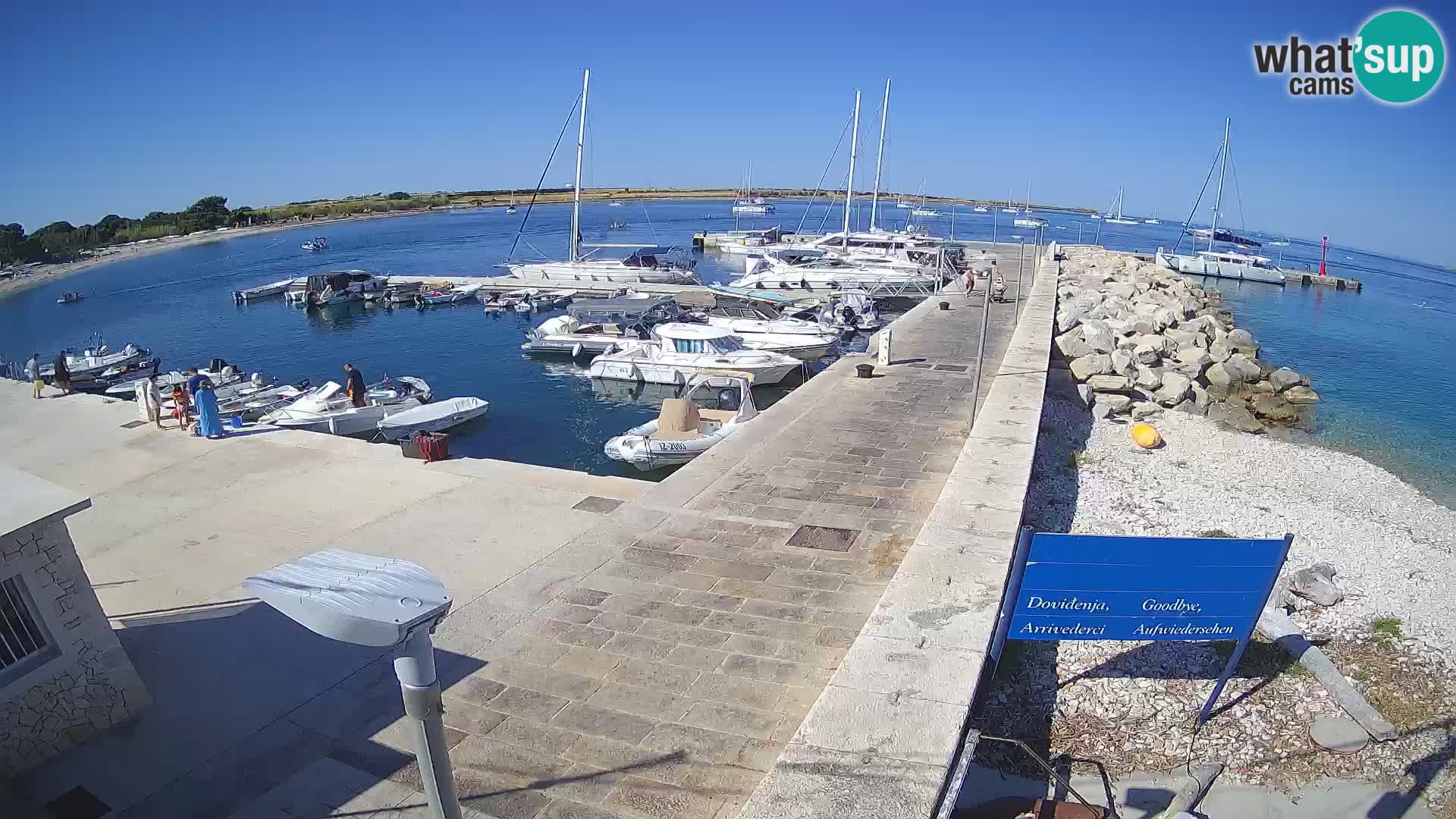 Webcam Isola di Unije – Esplora la bellezza della gemma nascosta della Croazia