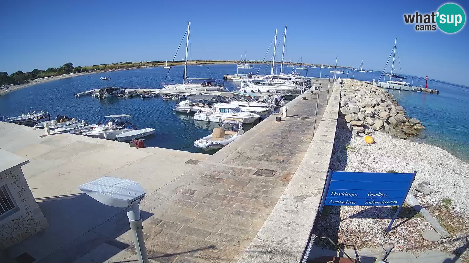 Webcam Isola di Unije – Esplora la bellezza della gemma nascosta della Croazia