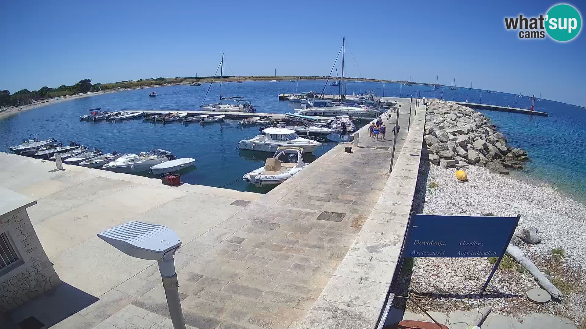 Cámara web de la isla de Unije: explore la belleza de la joya escondida de Croacia