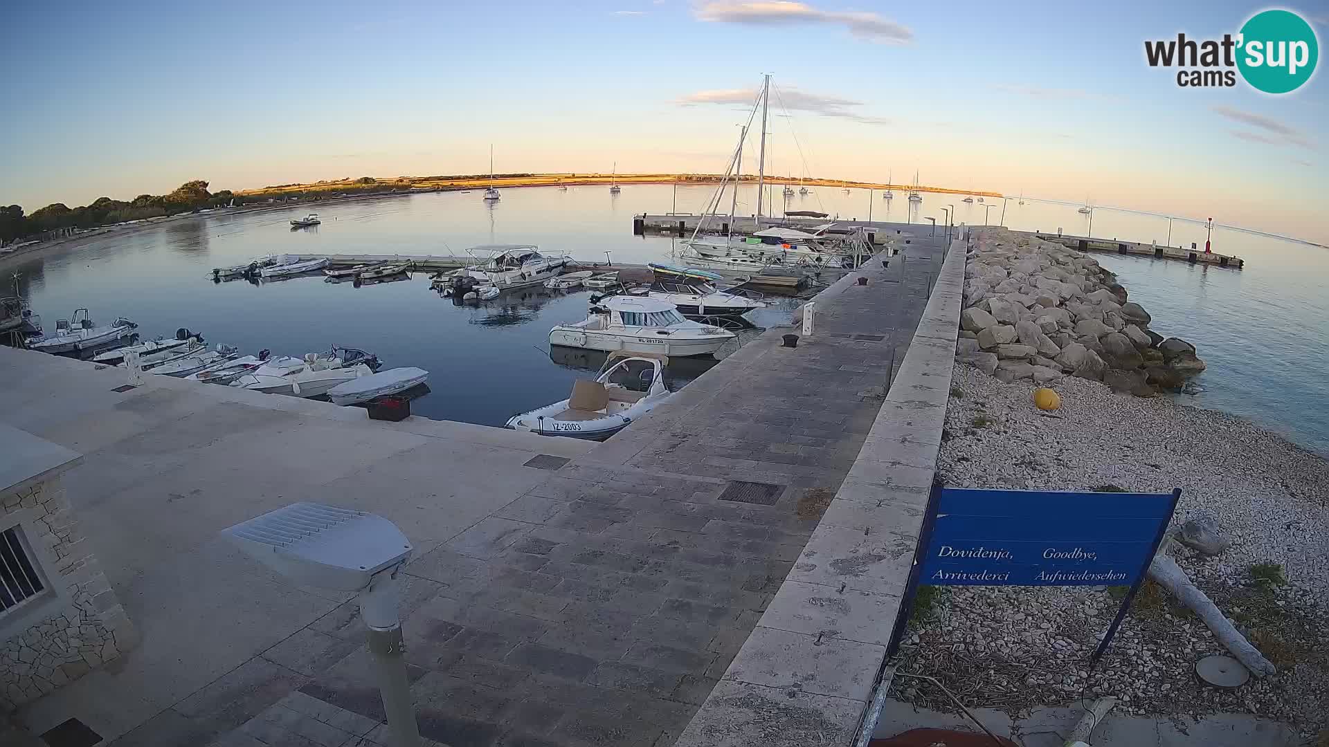 Cámara web de la isla de Unije: explore la belleza de la joya escondida de Croacia