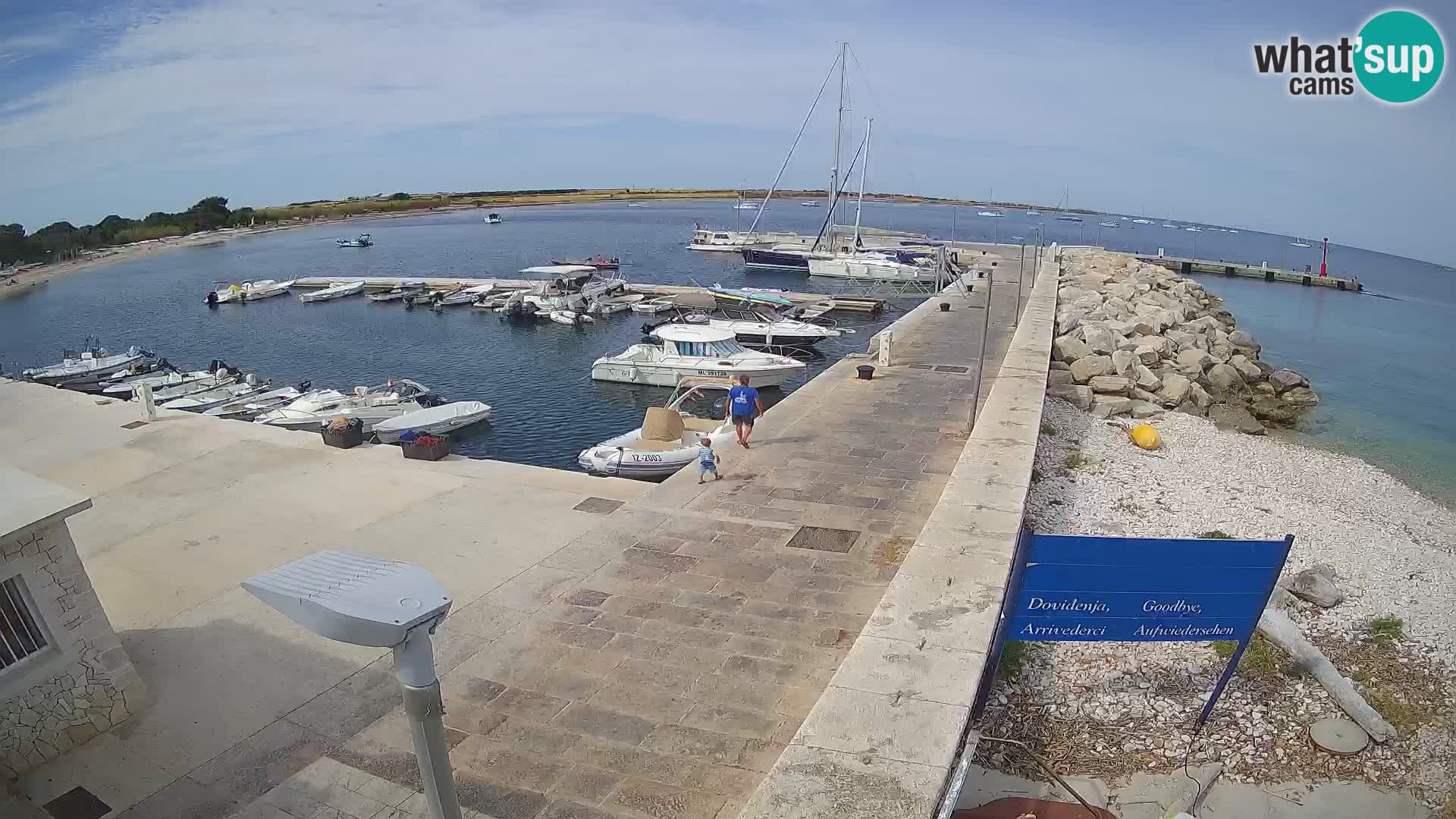 Cámara web de la isla de Unije: explore la belleza de la joya escondida de Croacia