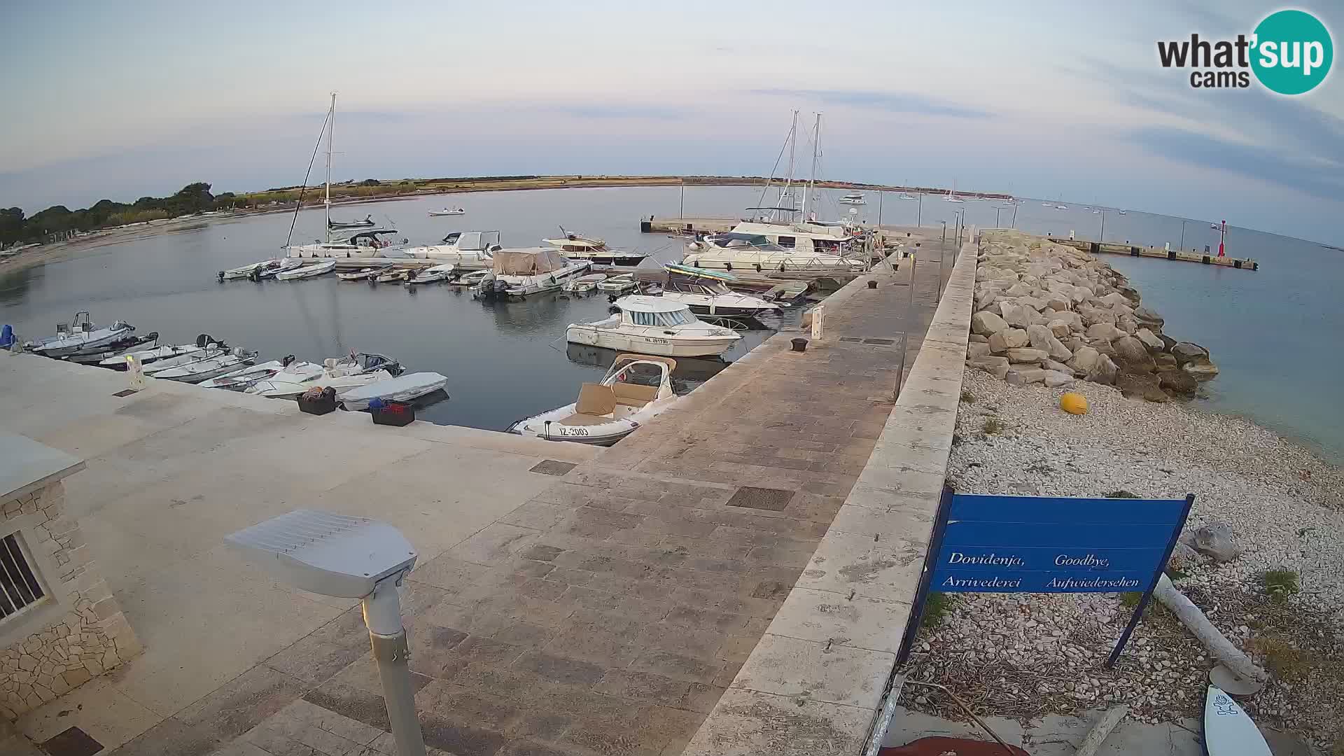 Cámara web de la isla de Unije: explore la belleza de la joya escondida de Croacia