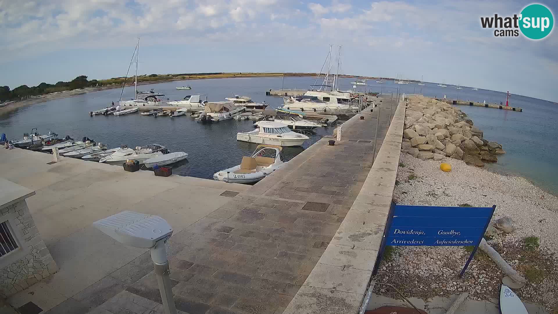 Webcam Isola di Unije – Esplora la bellezza della gemma nascosta della Croazia