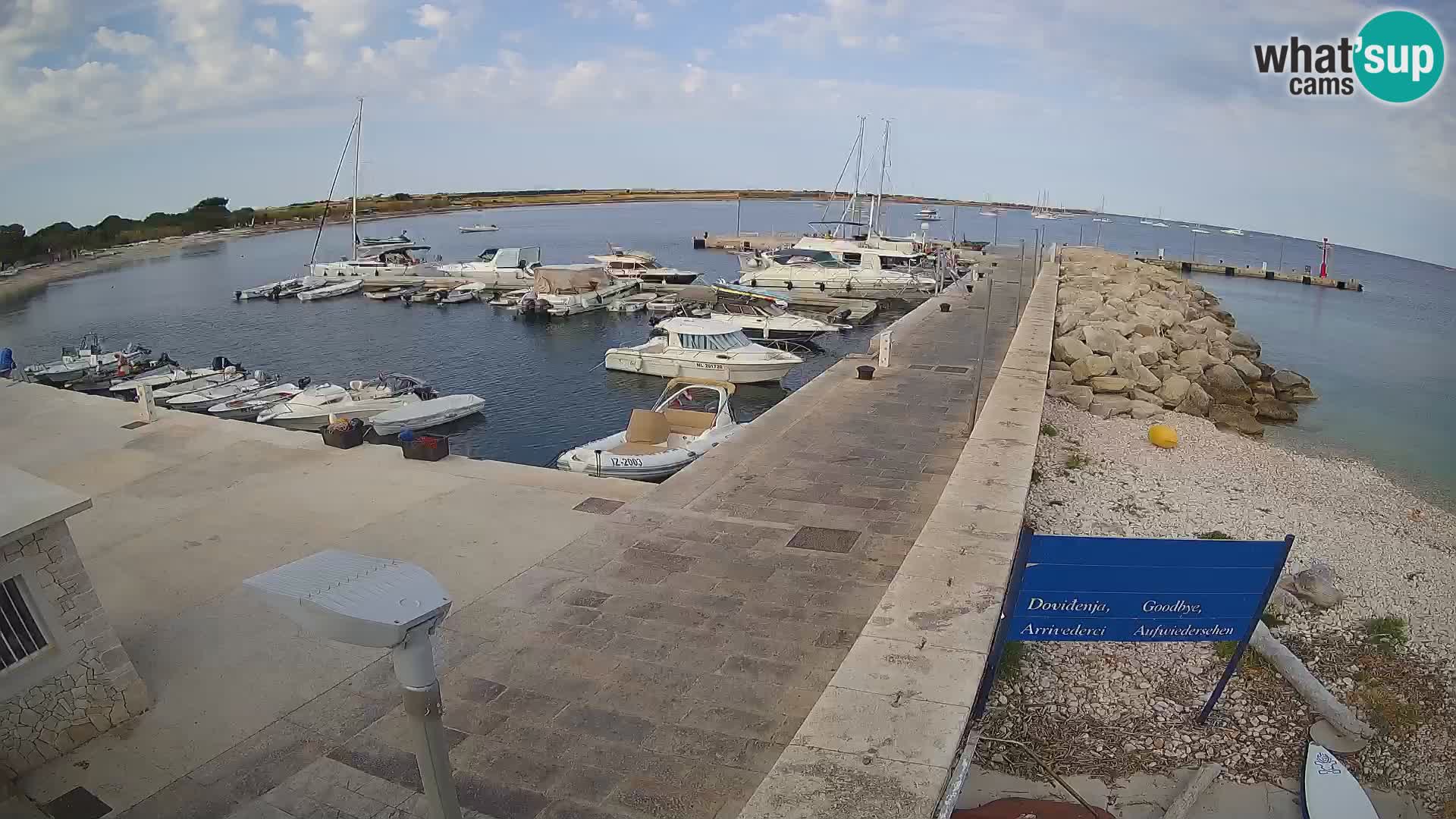 Webcam Isola di Unije – Esplora la bellezza della gemma nascosta della Croazia