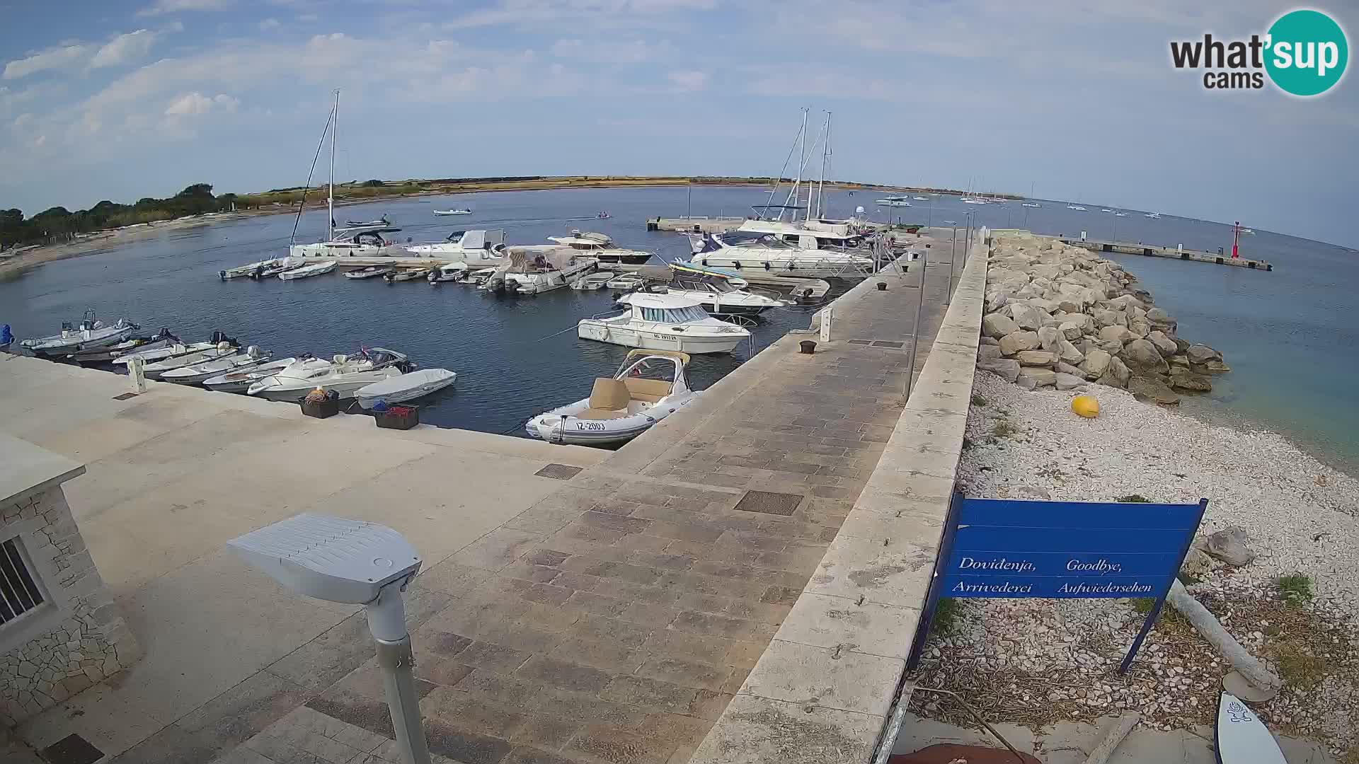 Cámara web de la isla de Unije: explore la belleza de la joya escondida de Croacia