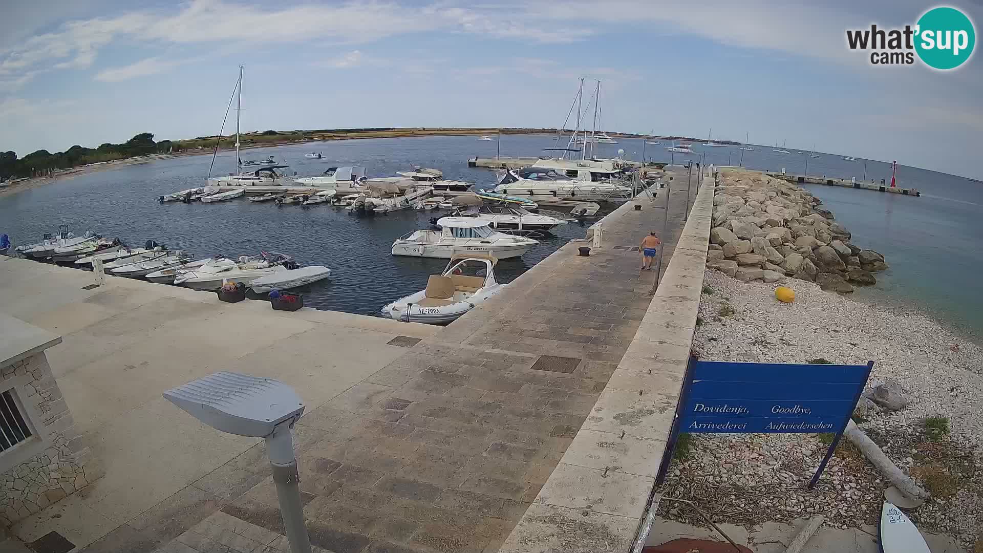 Cámara web de la isla de Unije: explore la belleza de la joya escondida de Croacia