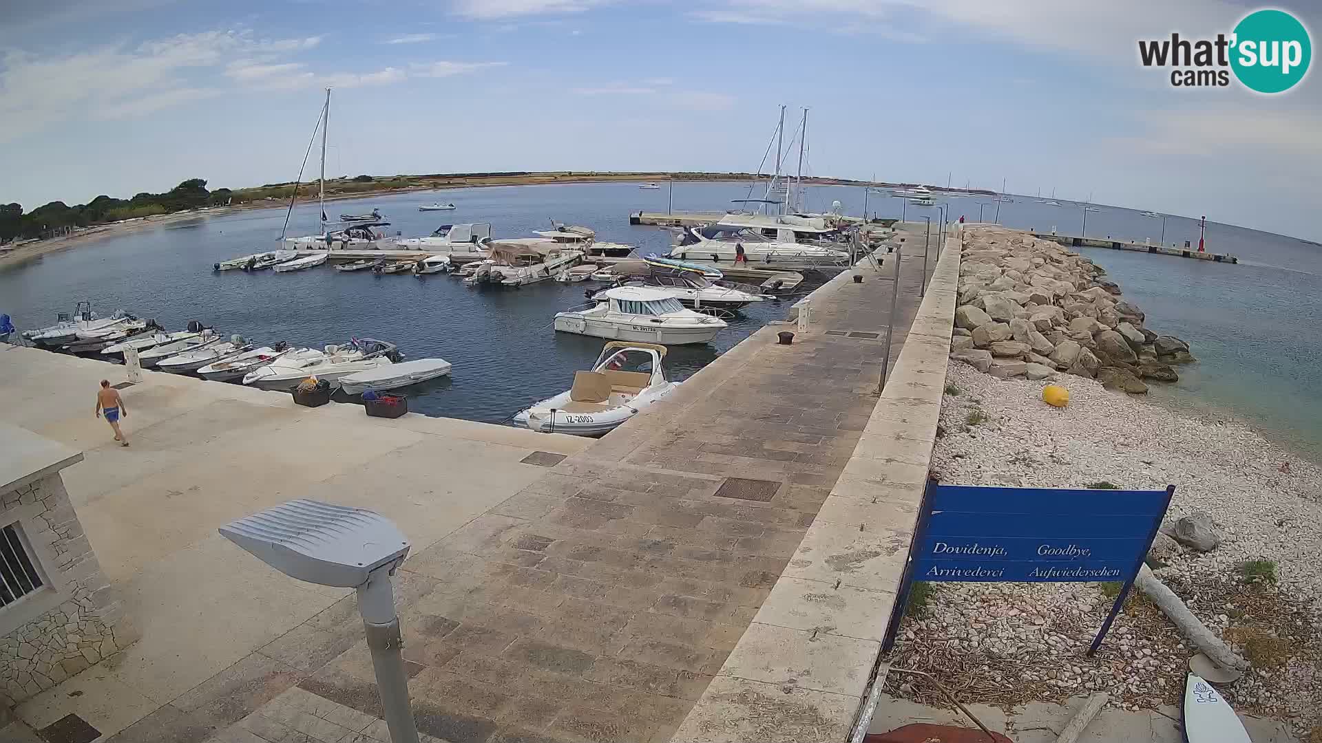 Cámara web de la isla de Unije: explore la belleza de la joya escondida de Croacia