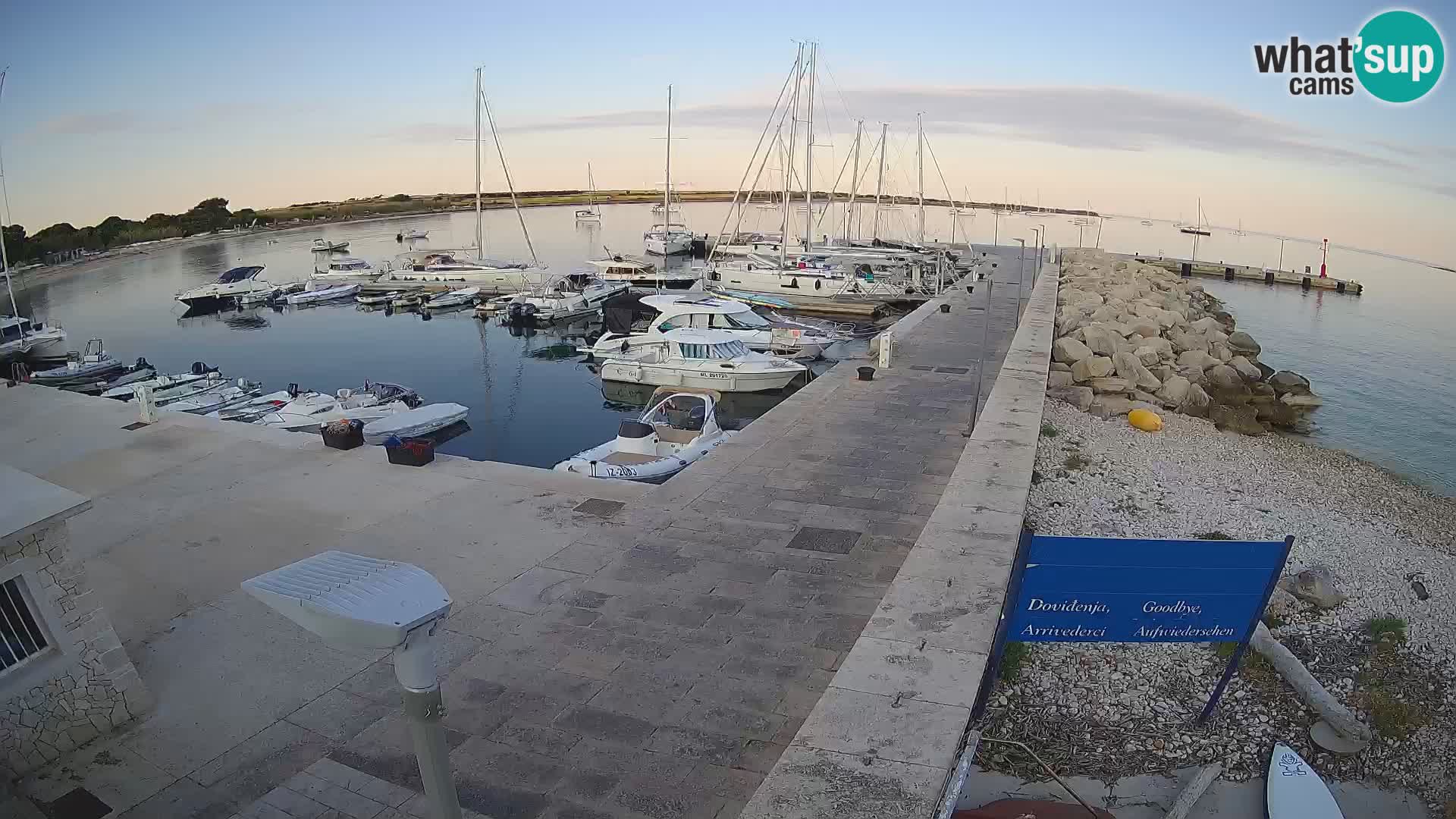 Cámara web de la isla de Unije: explore la belleza de la joya escondida de Croacia
