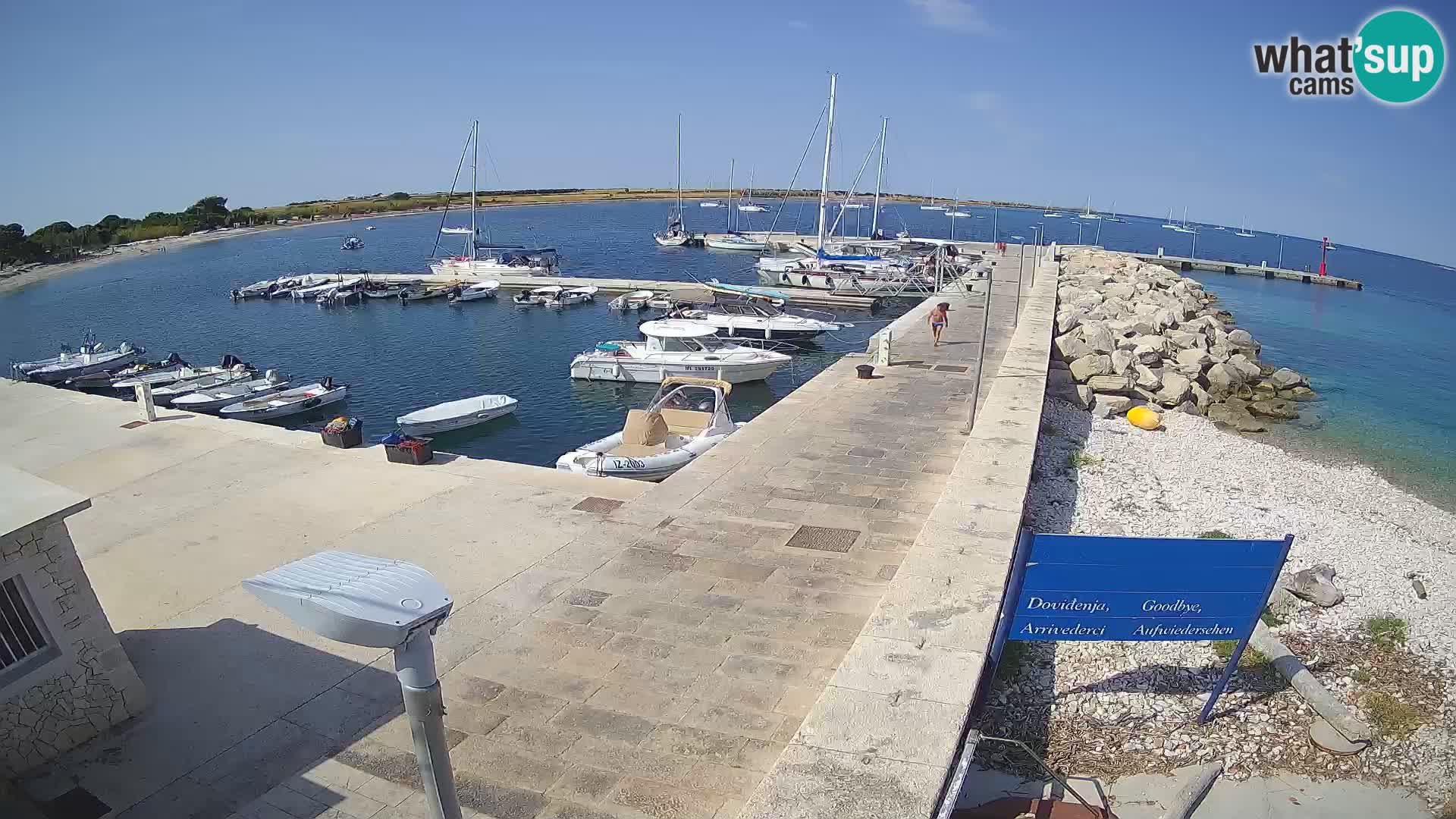 Cámara web de la isla de Unije: explore la belleza de la joya escondida de Croacia