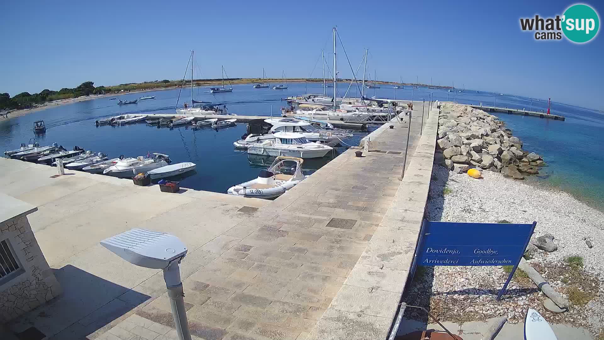 Cámara web de la isla de Unije: explore la belleza de la joya escondida de Croacia