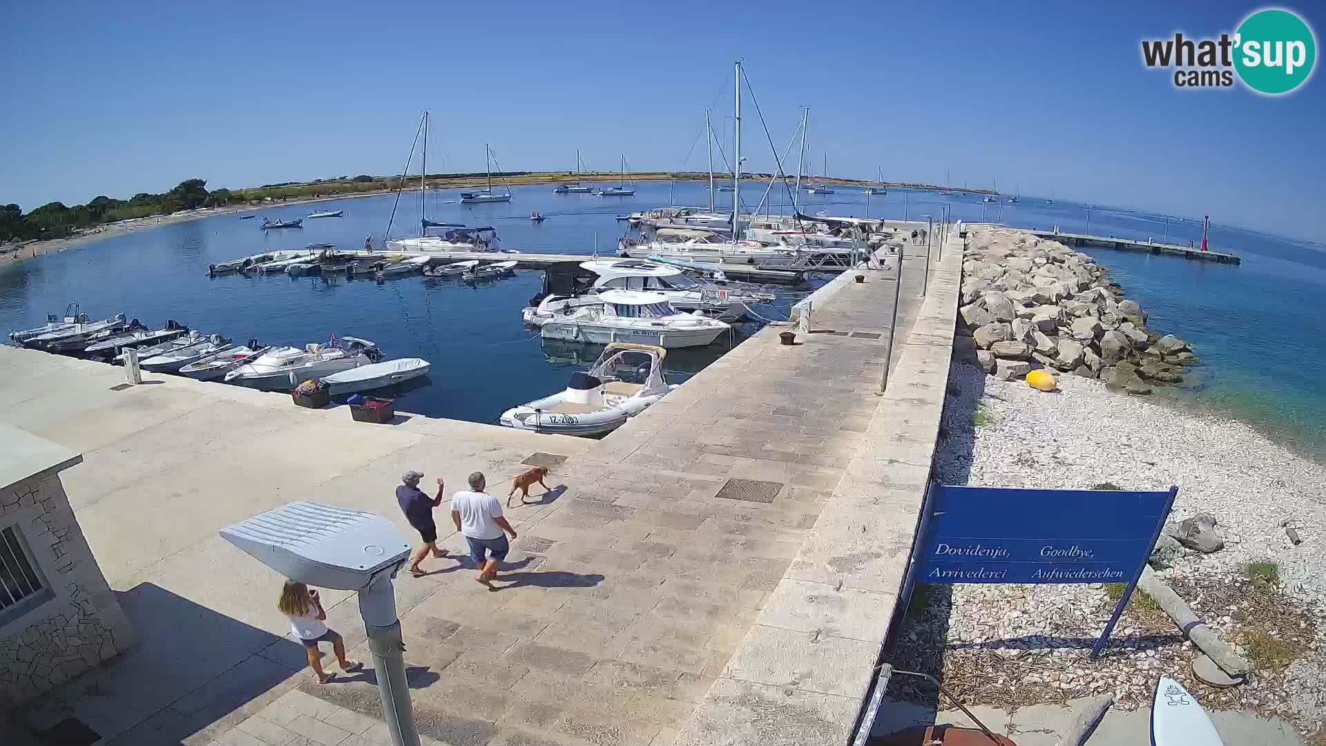 Cámara web de la isla de Unije: explore la belleza de la joya escondida de Croacia