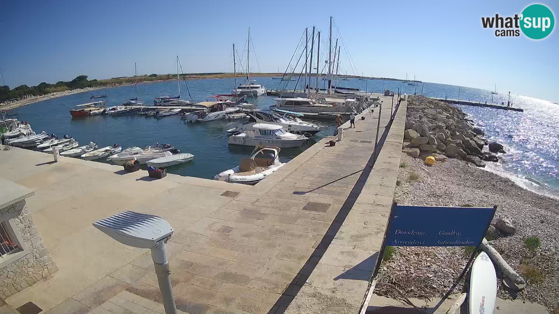 Cámara web de la isla de Unije: explore la belleza de la joya escondida de Croacia