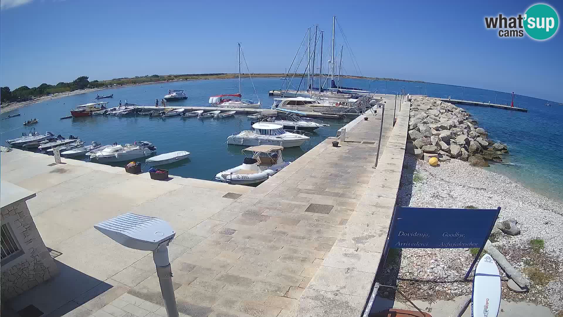 Cámara web de la isla de Unije: explore la belleza de la joya escondida de Croacia