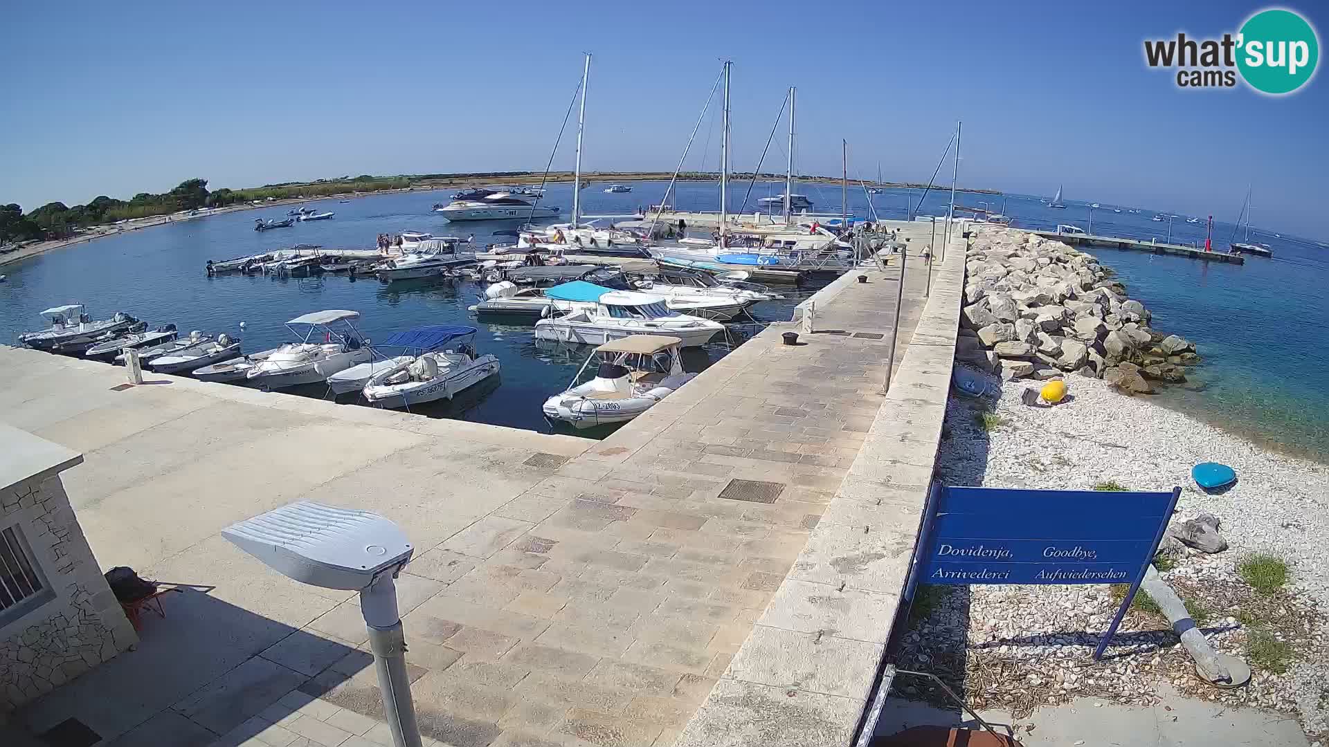 Cámara web de la isla de Unije: explore la belleza de la joya escondida de Croacia
