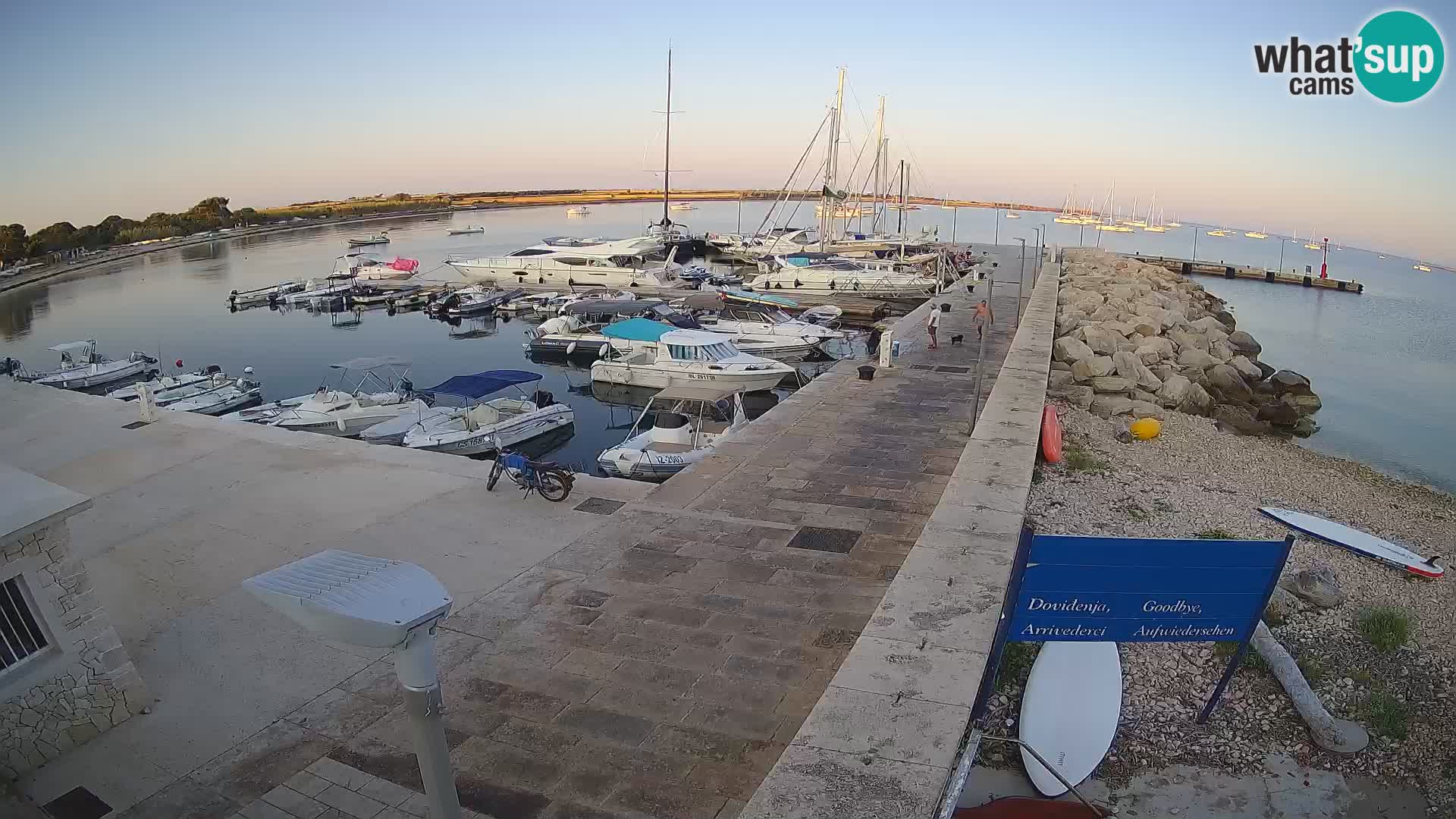 Webcam Isola di Unije – Esplora la bellezza della gemma nascosta della Croazia