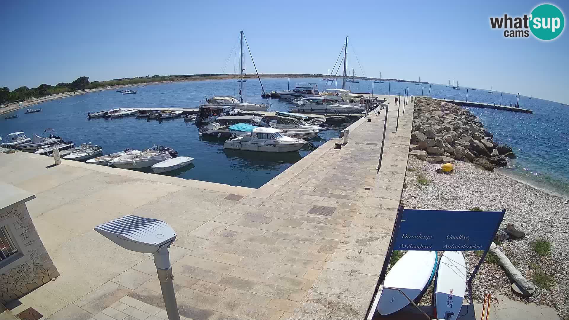 Cámara web de la isla de Unije: explore la belleza de la joya escondida de Croacia