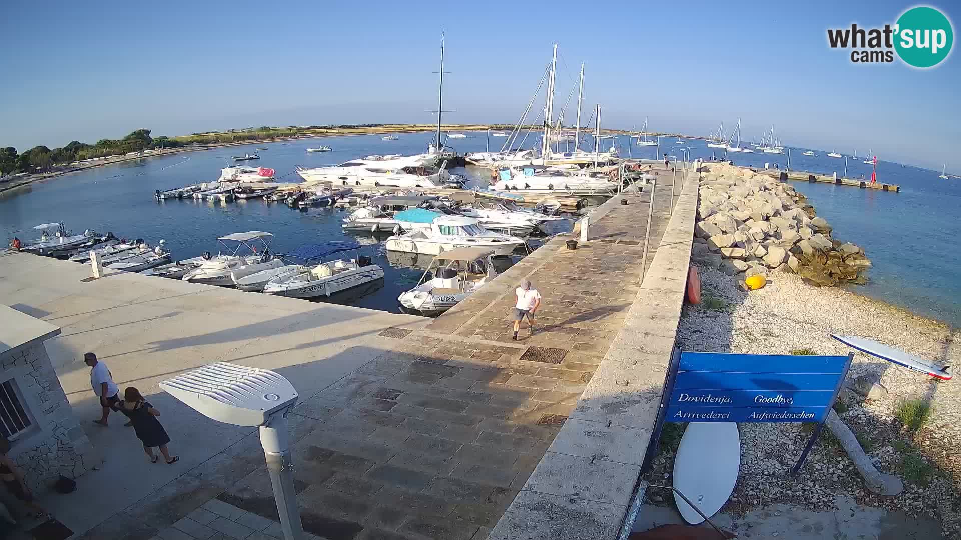 Webcam Isola di Unije – Esplora la bellezza della gemma nascosta della Croazia