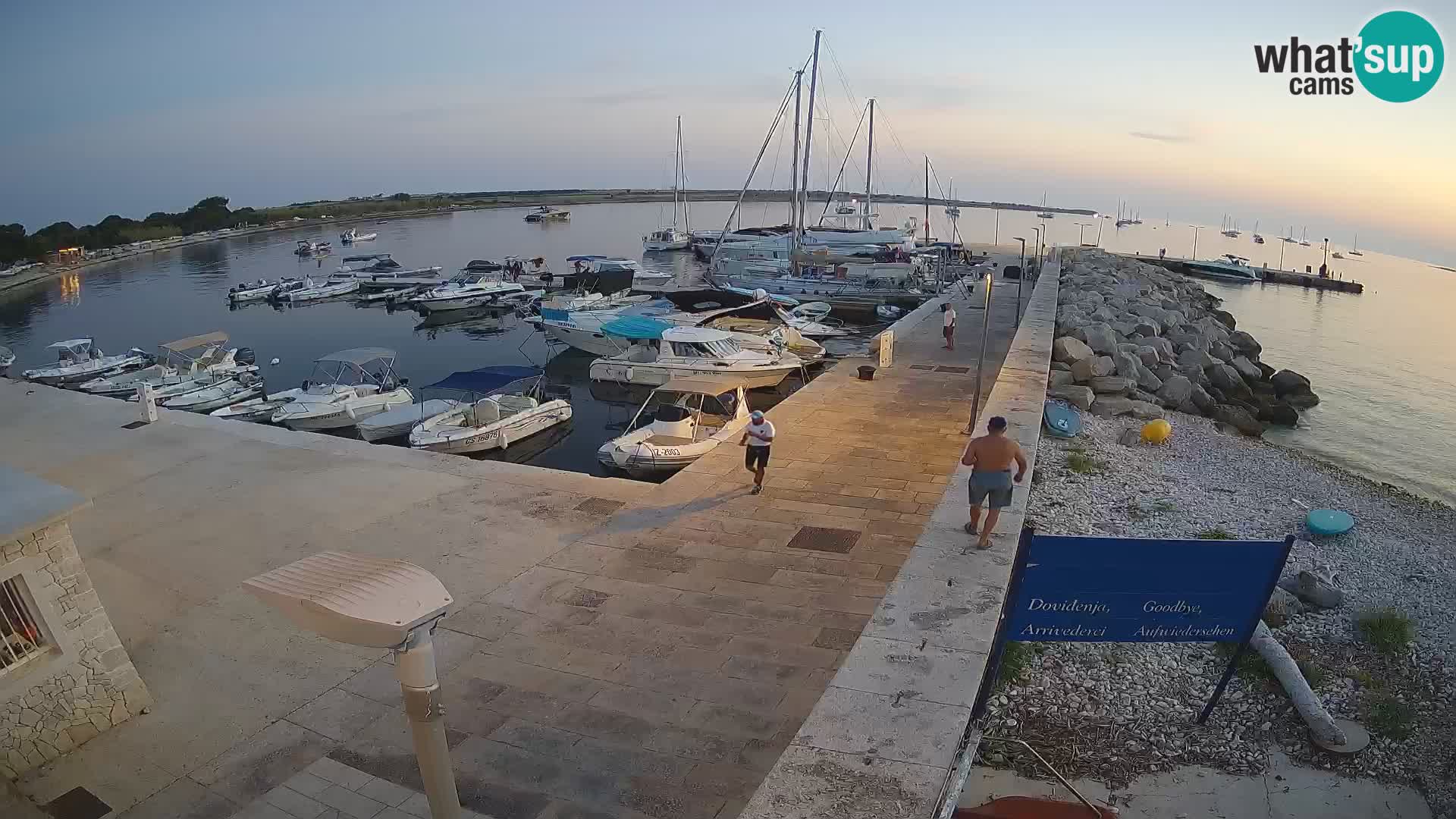 Webcam Isola di Unije – Esplora la bellezza della gemma nascosta della Croazia