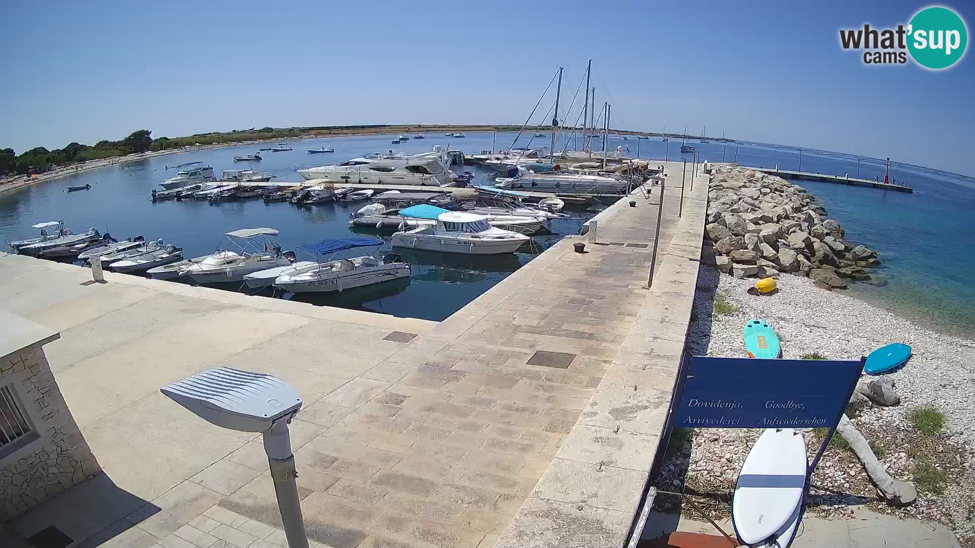 Webcam Isola di Unije – Esplora la bellezza della gemma nascosta della Croazia