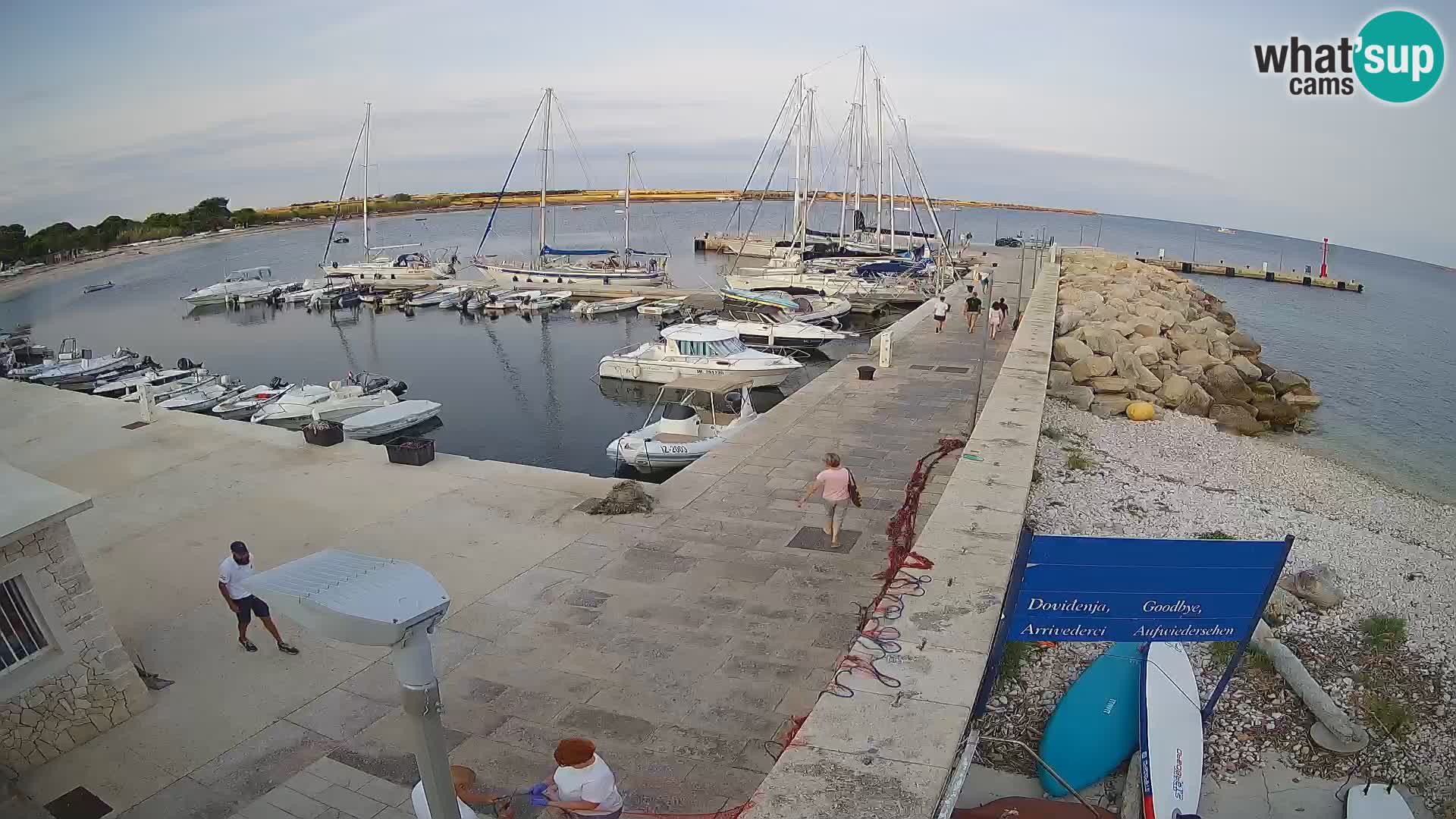 Webcam Isola di Unije – Esplora la bellezza della gemma nascosta della Croazia