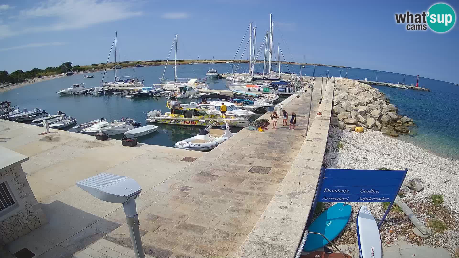 Webcam Isola di Unije – Esplora la bellezza della gemma nascosta della Croazia