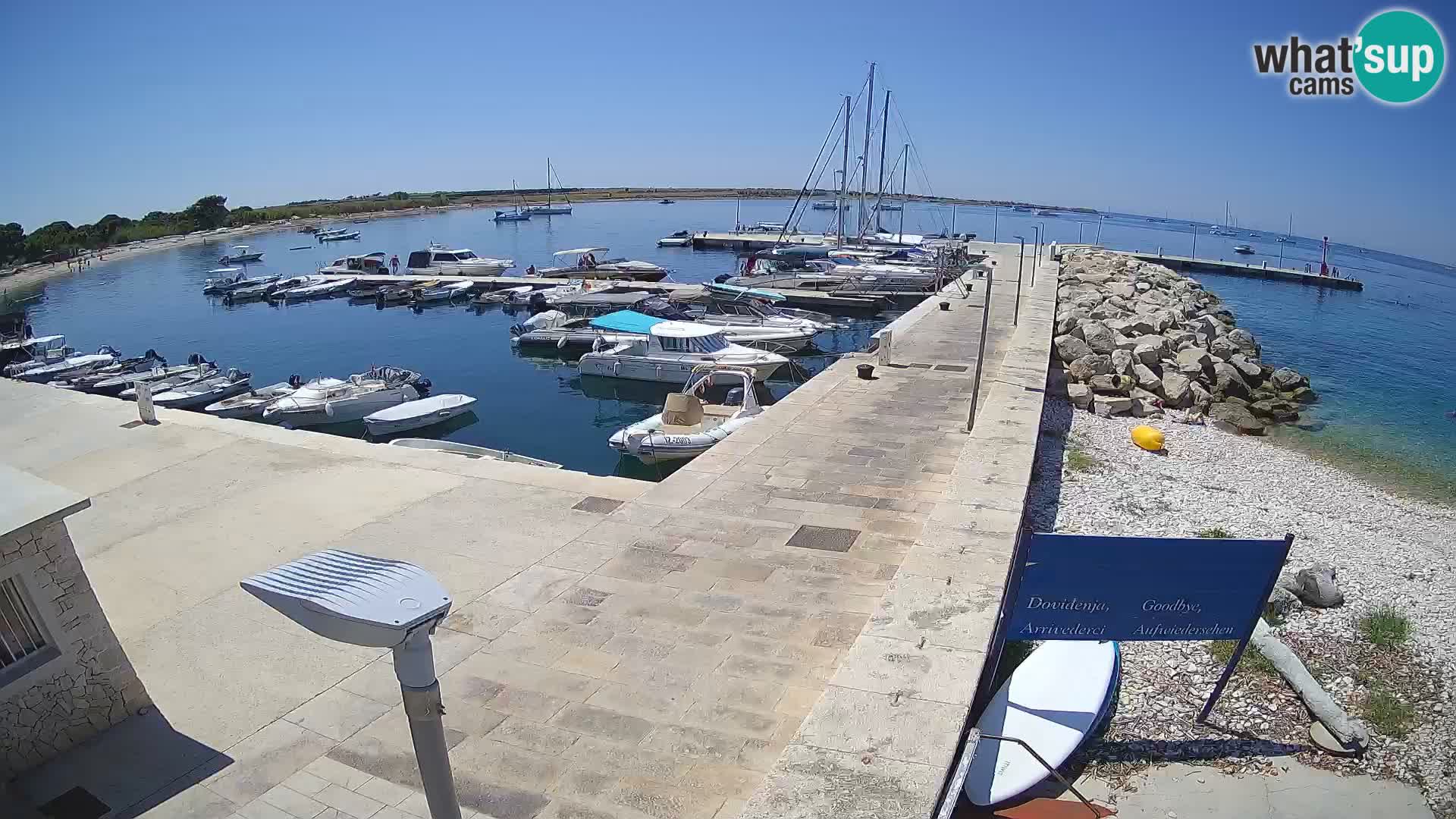 Webcam Isola di Unije – Esplora la bellezza della gemma nascosta della Croazia