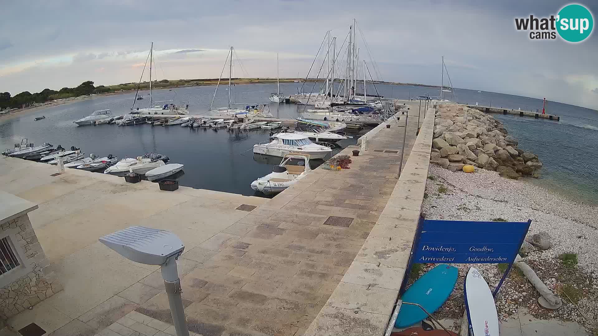 Webcam Isola di Unije – Esplora la bellezza della gemma nascosta della Croazia