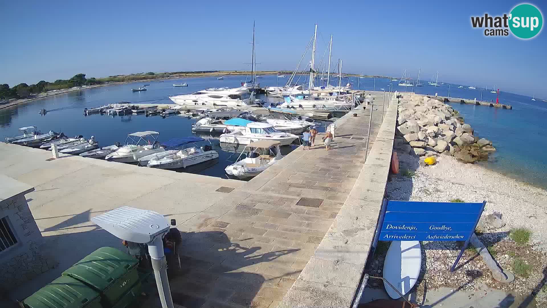 Cámara web de la isla de Unije: explore la belleza de la joya escondida de Croacia