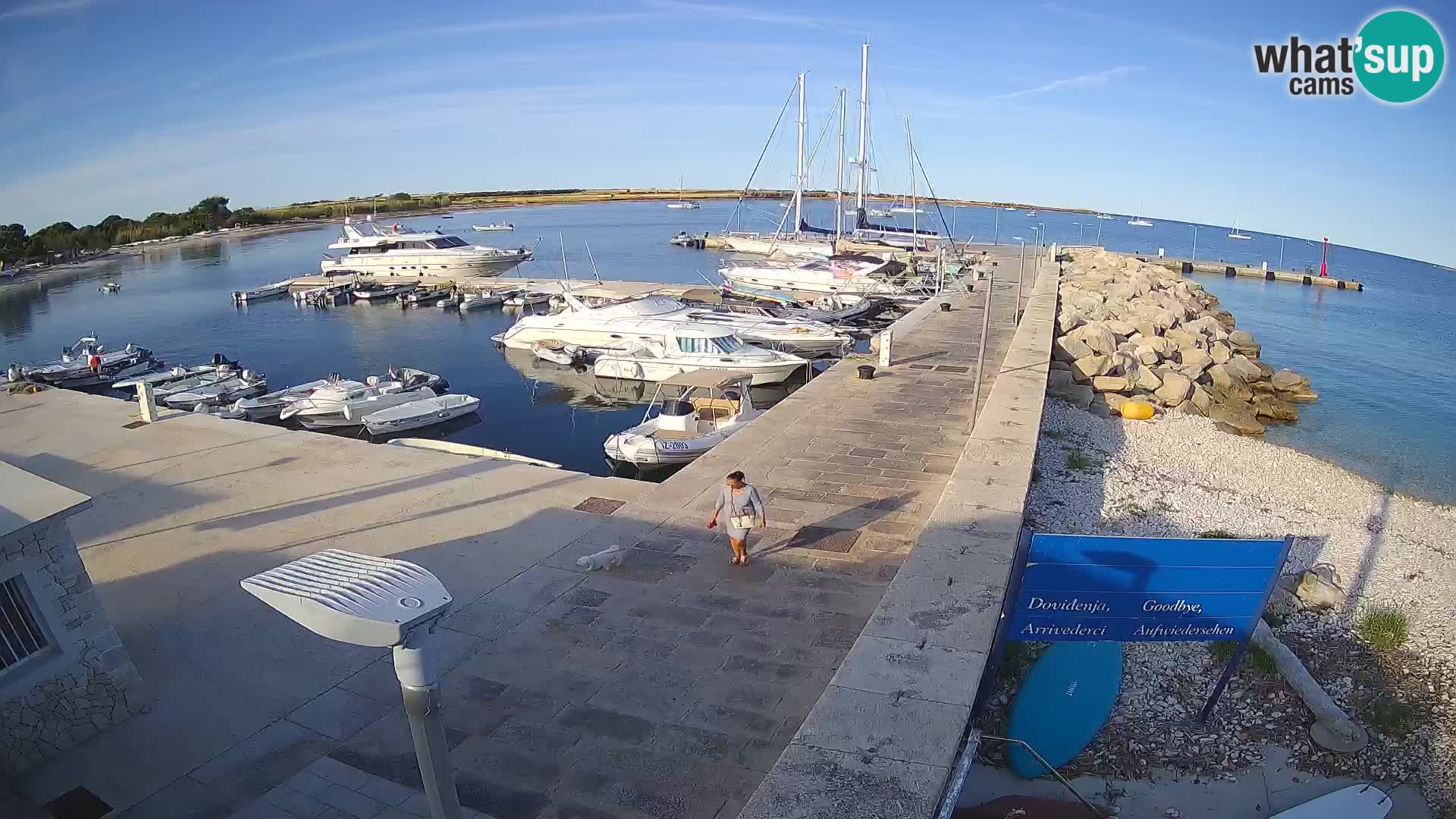 Webcam Isola di Unije – Esplora la bellezza della gemma nascosta della Croazia