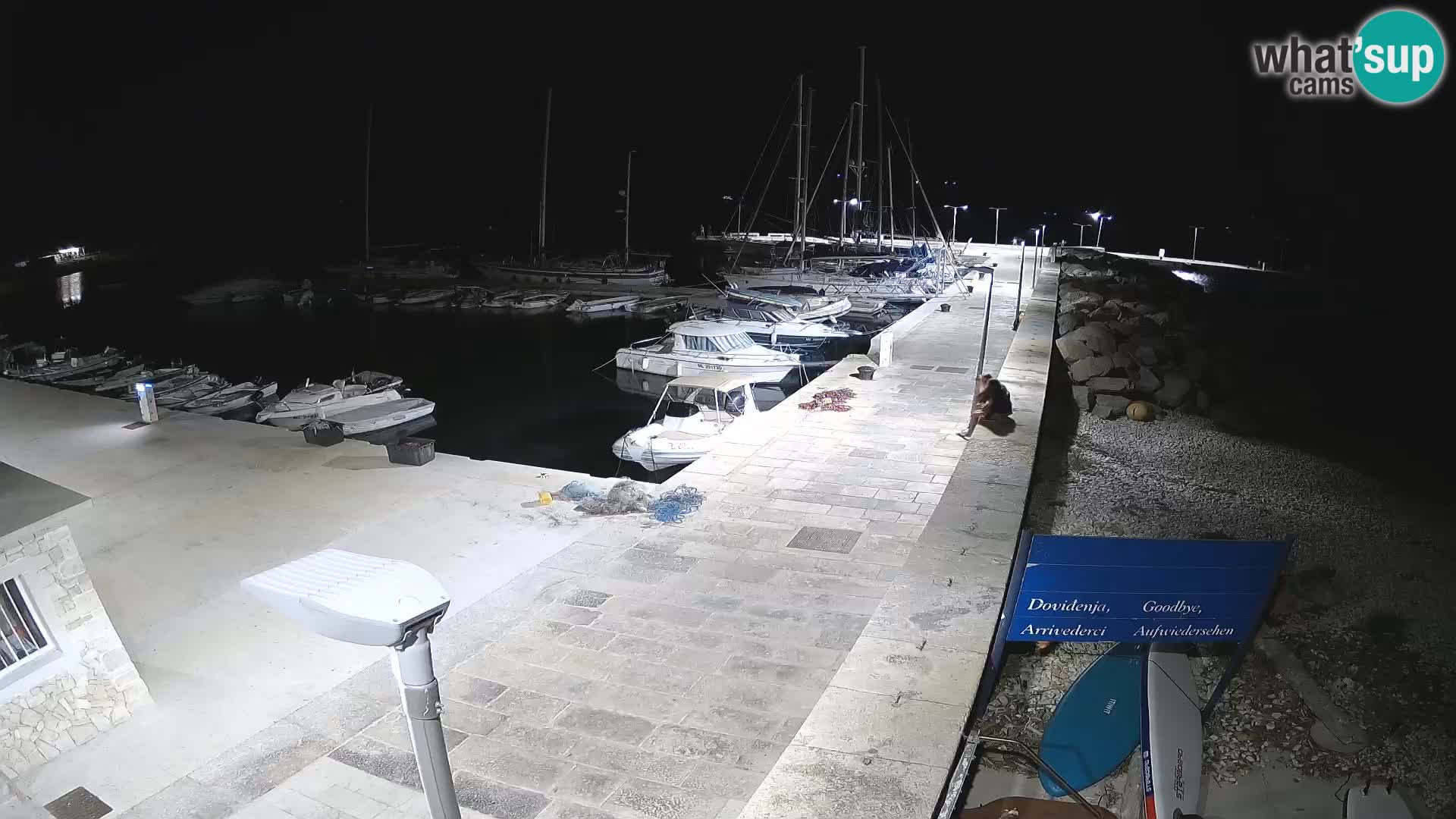 Unije Island Webcam – Explore the Beauty of Croatia’s Hidden Gem