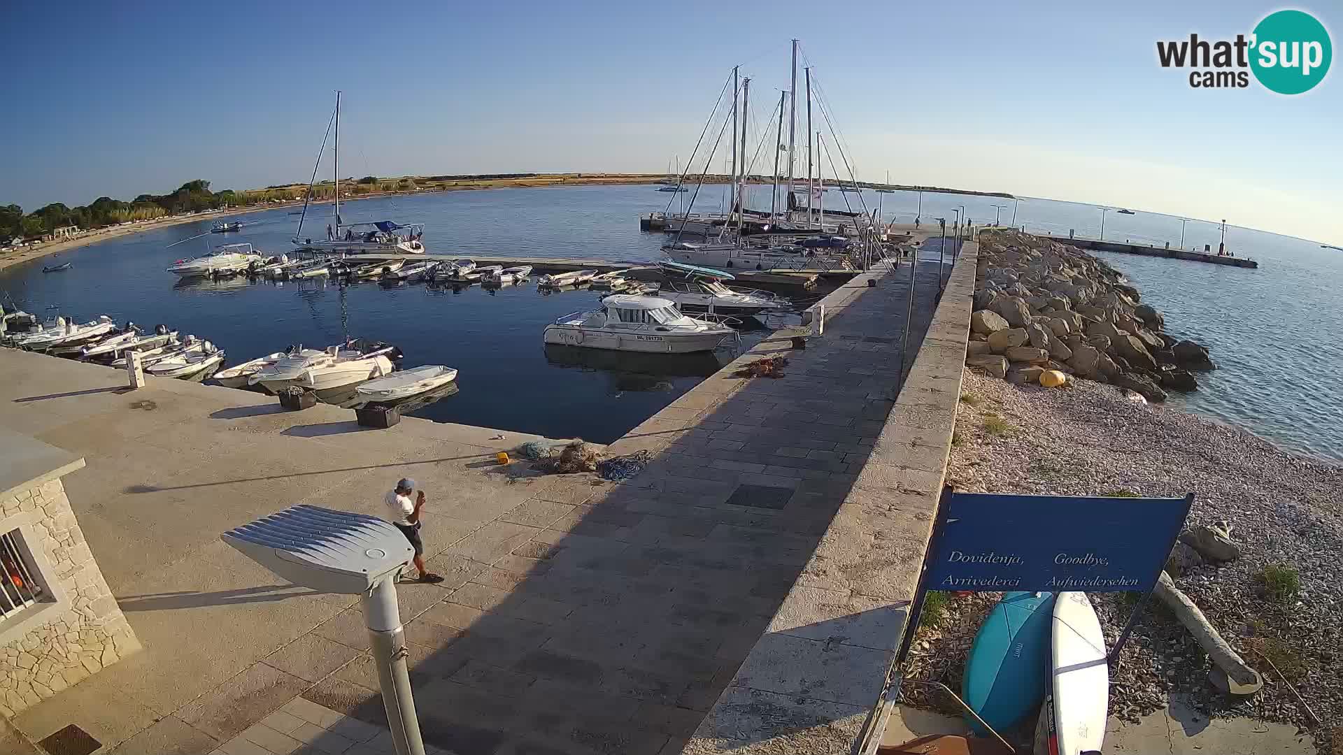 Cámara web de la isla de Unije: explore la belleza de la joya escondida de Croacia
