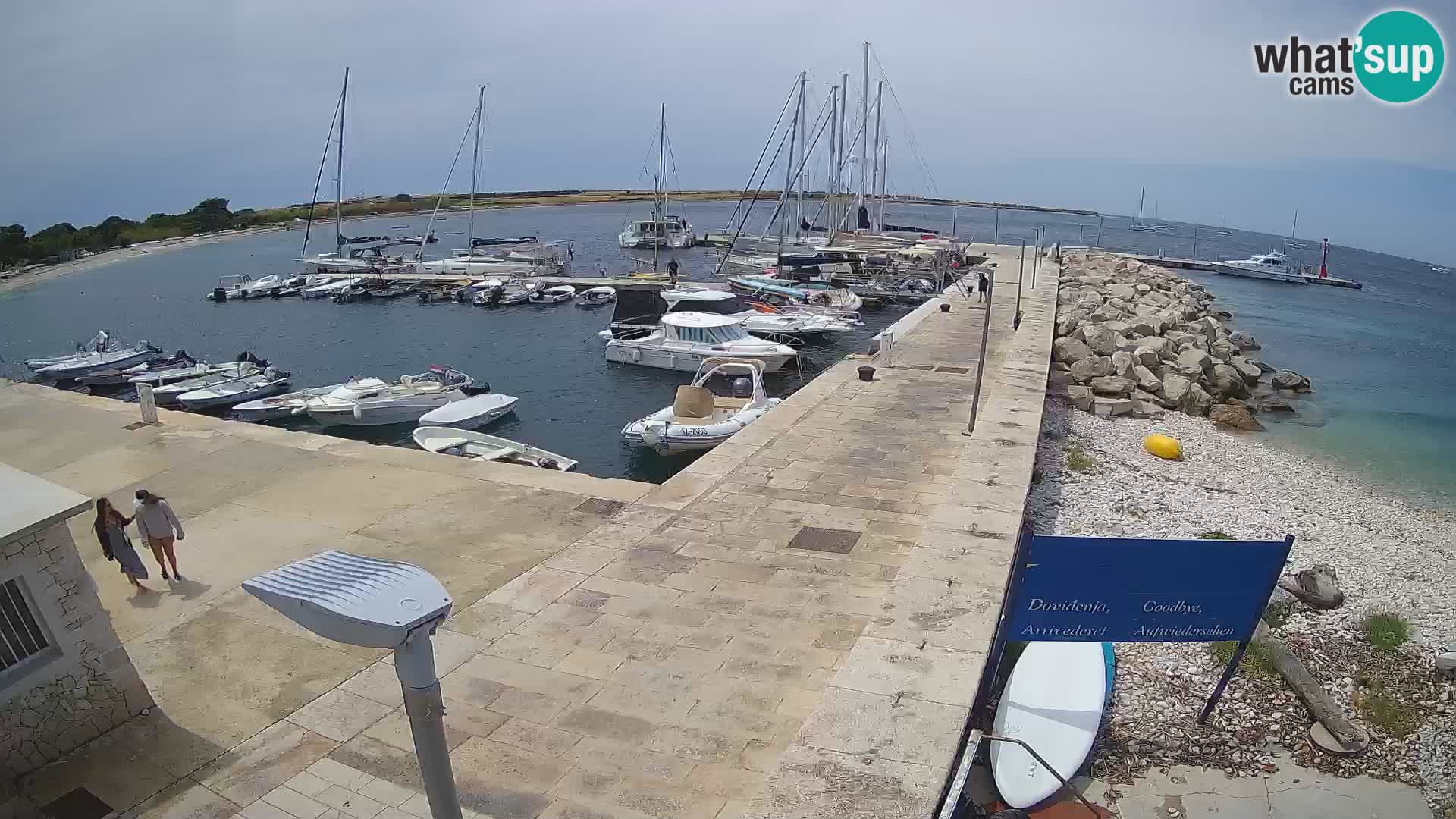 Cámara web de la isla de Unije: explore la belleza de la joya escondida de Croacia