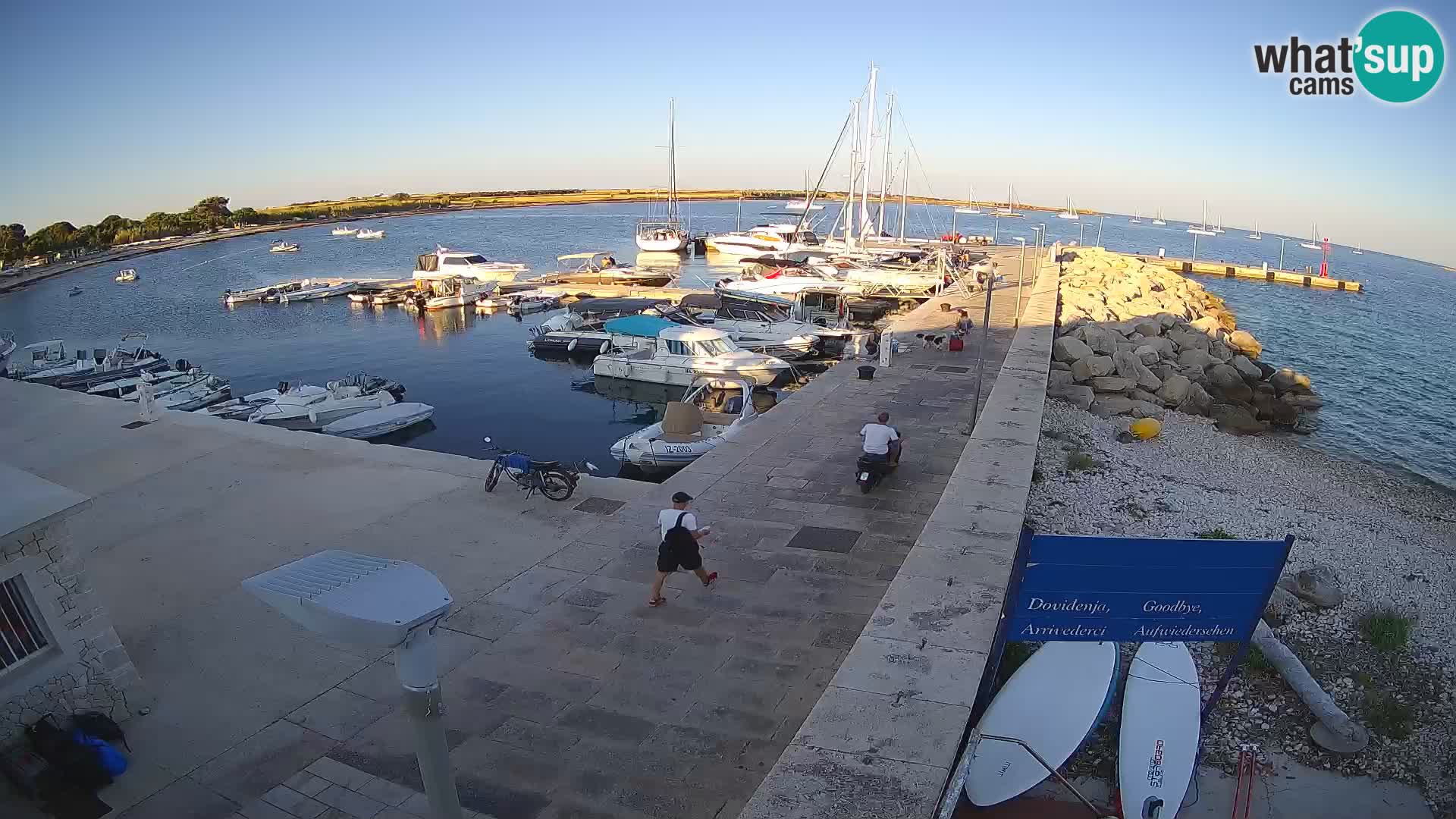 Webcam Isola di Unije – Esplora la bellezza della gemma nascosta della Croazia