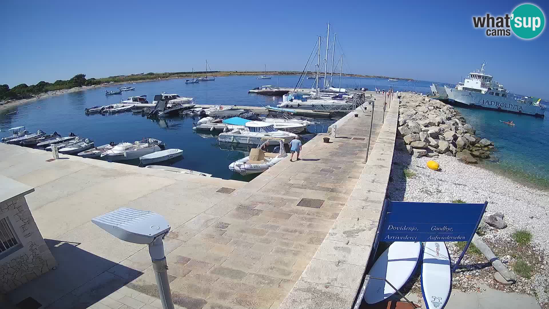 Cámara web de la isla de Unije: explore la belleza de la joya escondida de Croacia