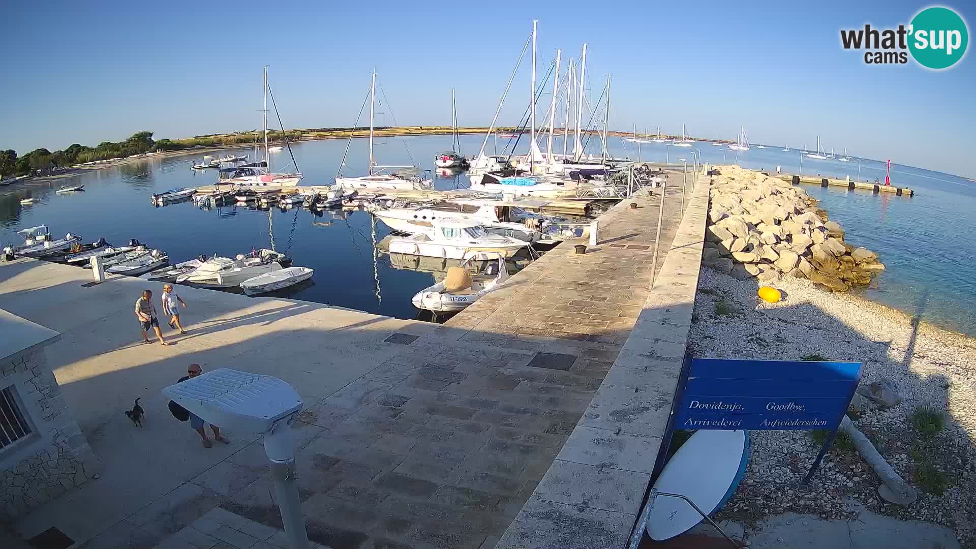 Cámara web de la isla de Unije: explore la belleza de la joya escondida de Croacia