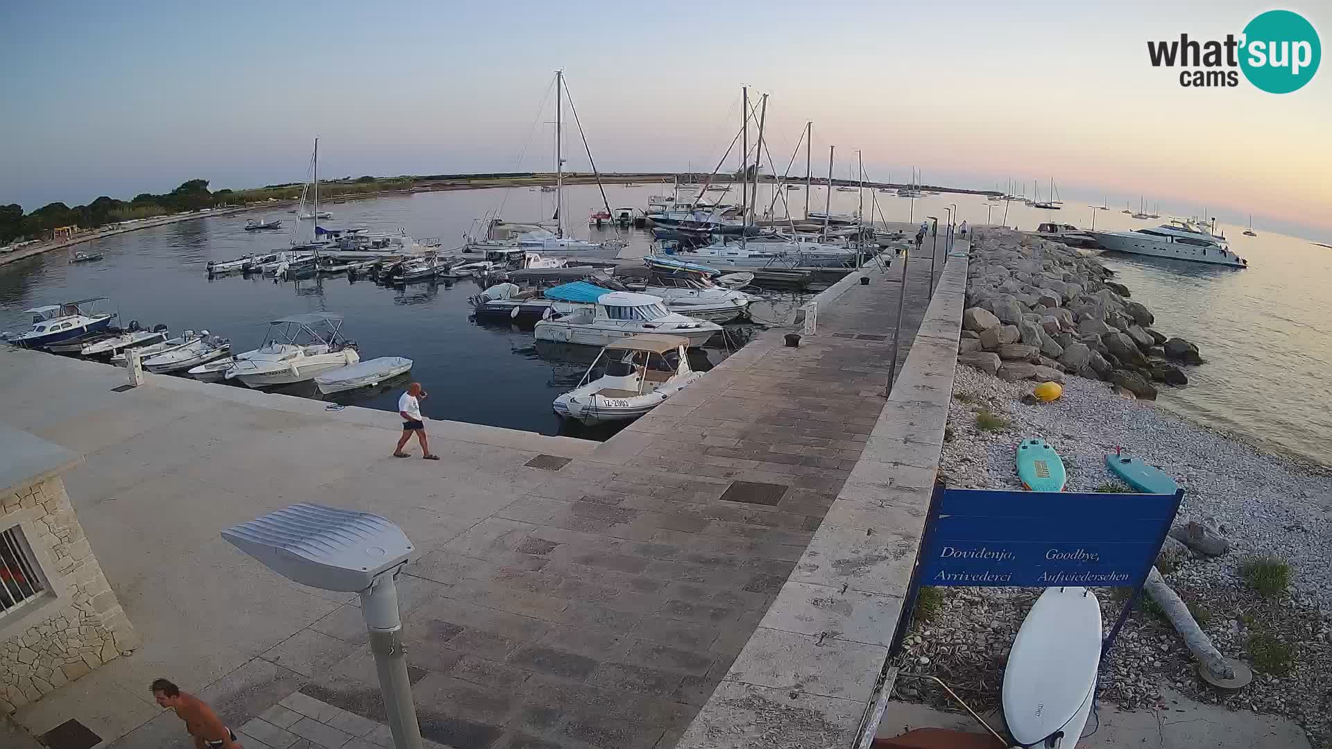 Cámara web de la isla de Unije: explore la belleza de la joya escondida de Croacia