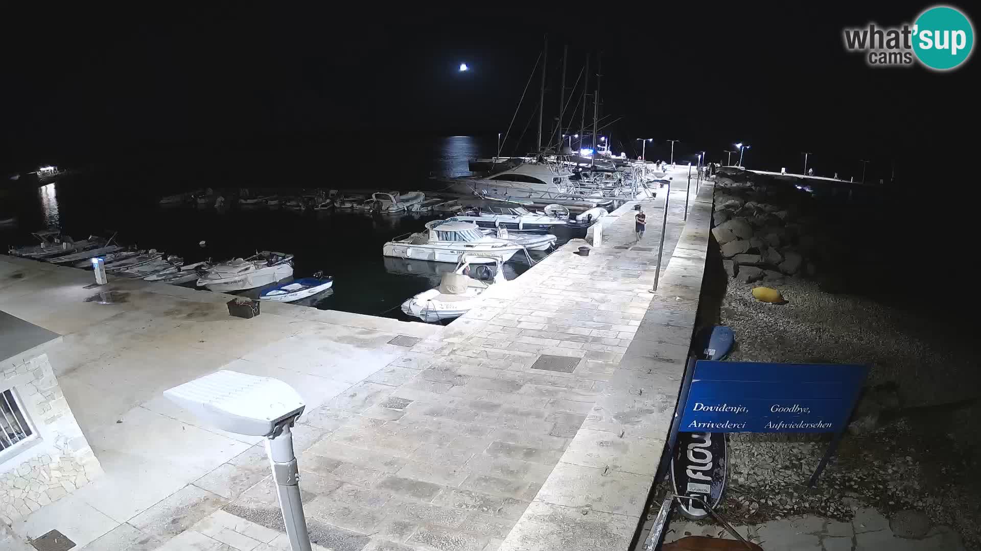 Cámara web de la isla de Unije: explore la belleza de la joya escondida de Croacia
