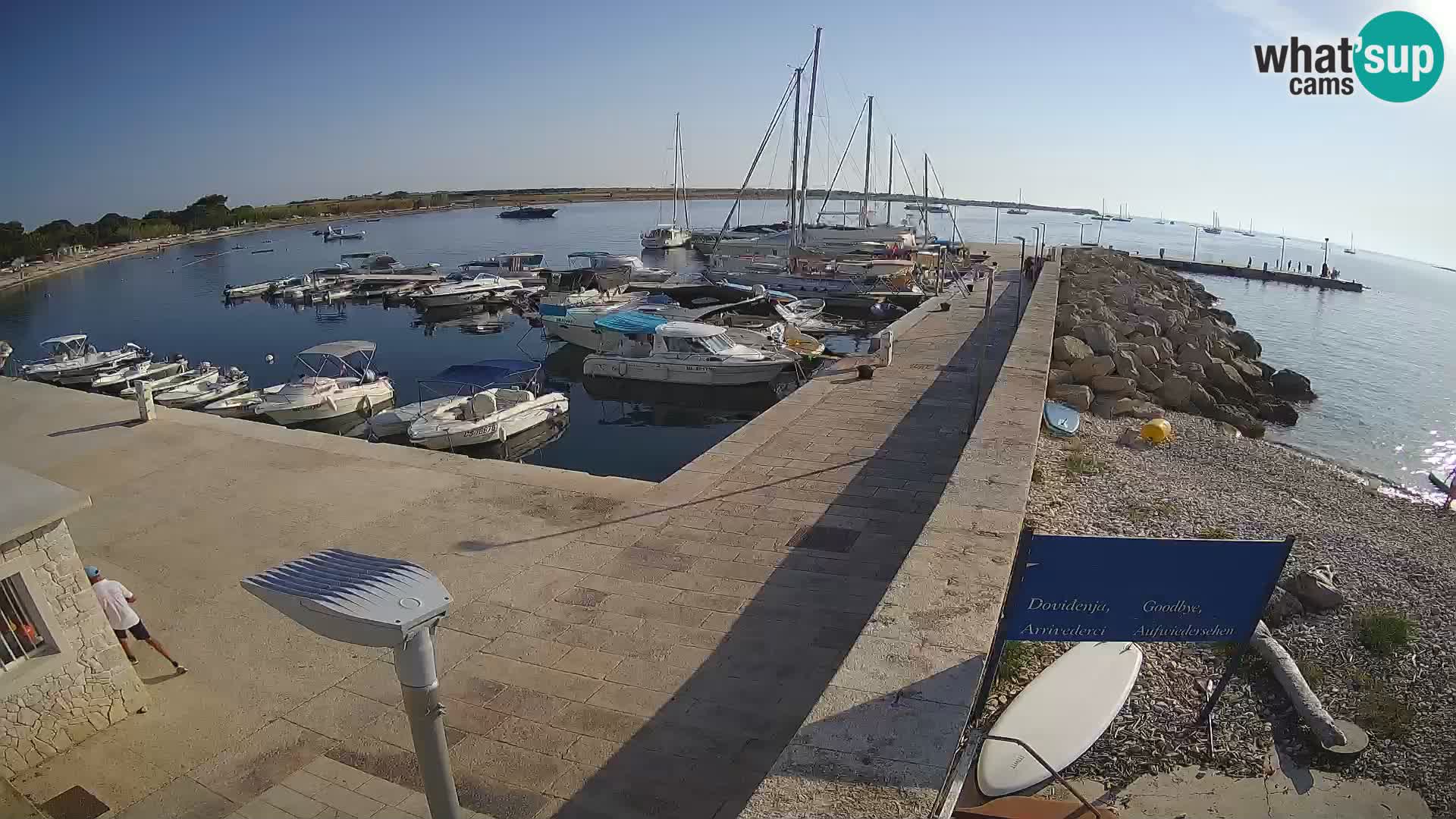 Webcam Isola di Unije – Esplora la bellezza della gemma nascosta della Croazia