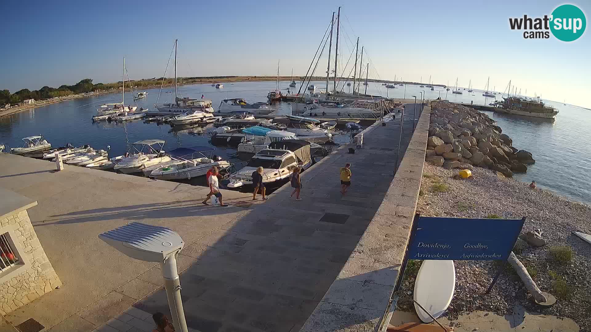 Cámara web de la isla de Unije: explore la belleza de la joya escondida de Croacia