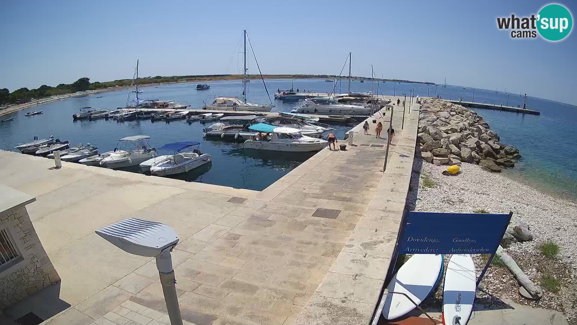 Cámara web de la isla de Unije: explore la belleza de la joya escondida de Croacia