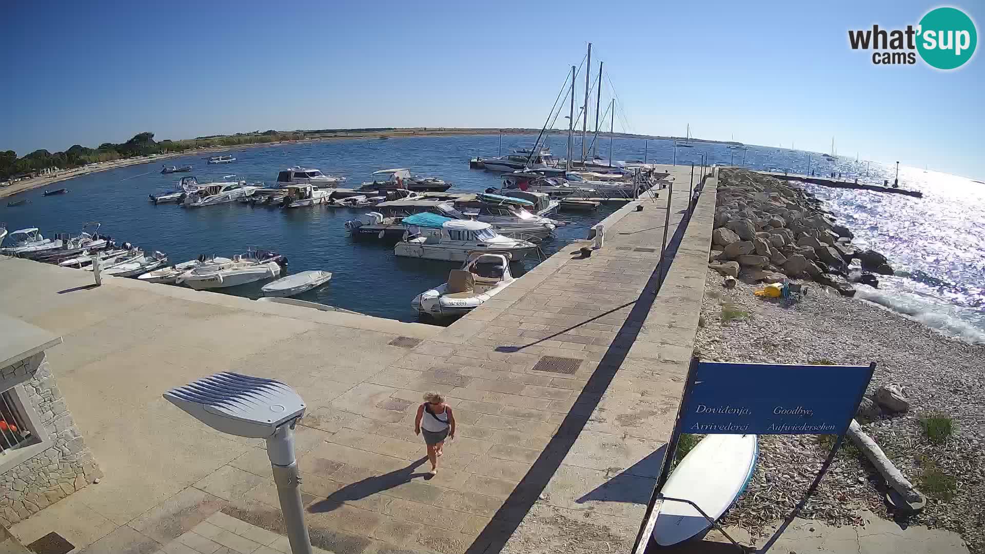 Cámara web de la isla de Unije: explore la belleza de la joya escondida de Croacia