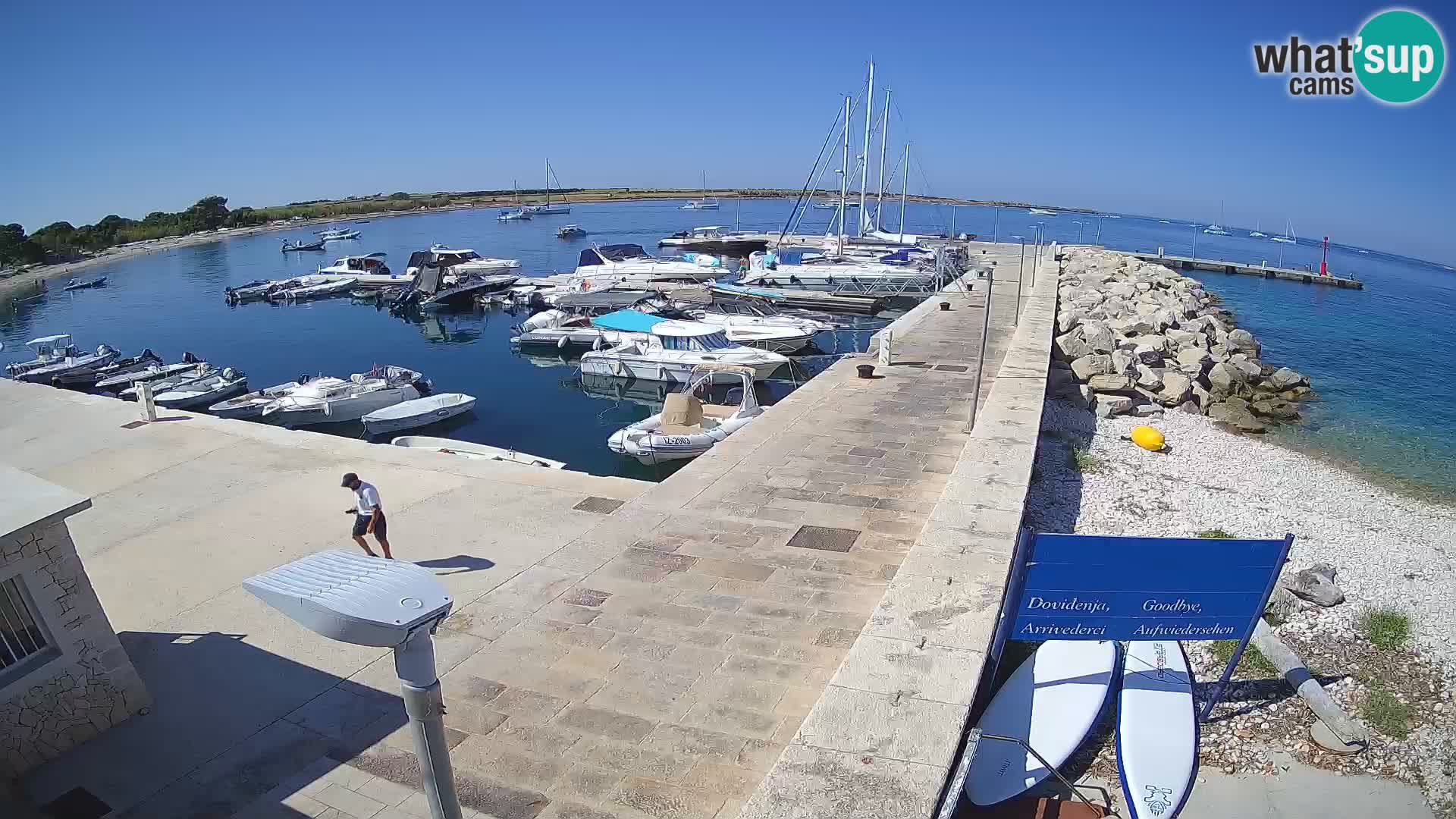 Cámara web de la isla de Unije: explore la belleza de la joya escondida de Croacia
