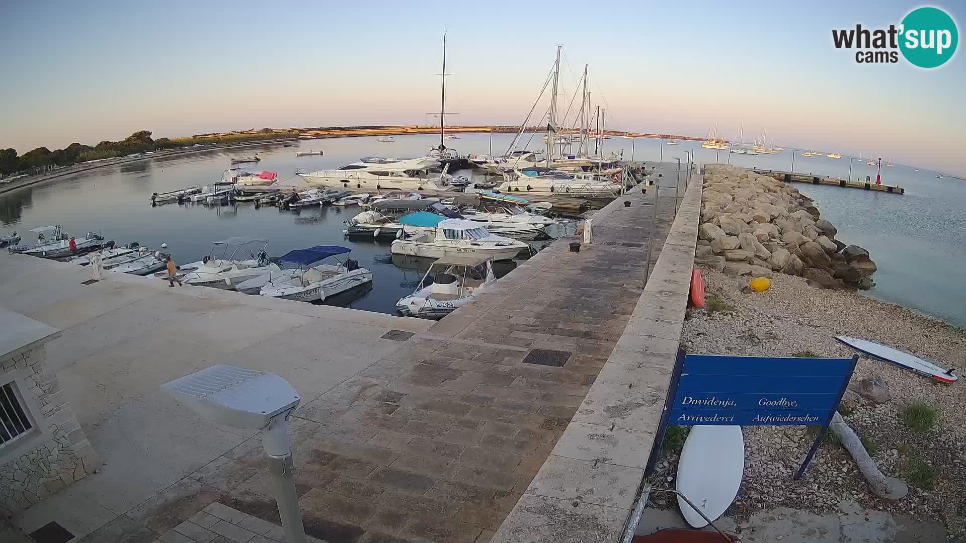 Cámara web de la isla de Unije: explore la belleza de la joya escondida de Croacia