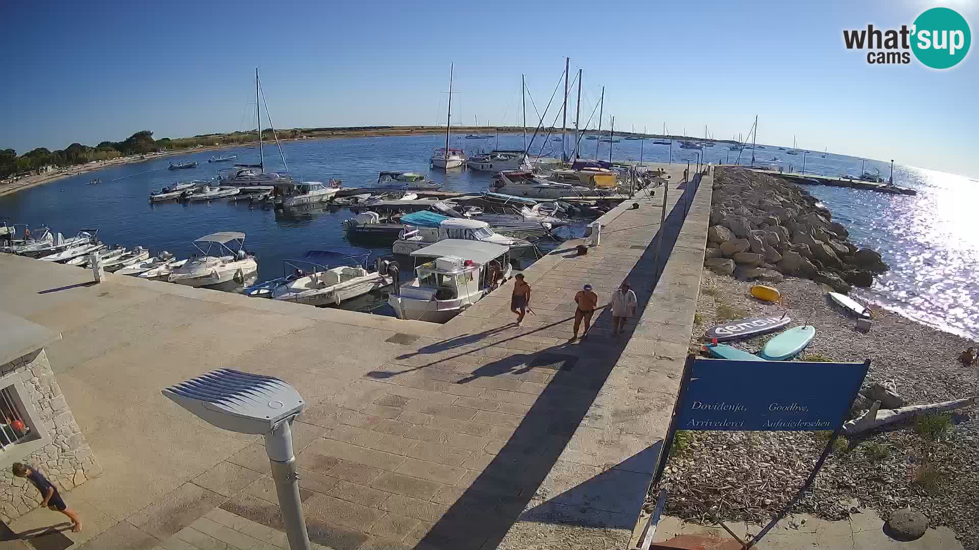 Webcam Isola di Unije – Esplora la bellezza della gemma nascosta della Croazia